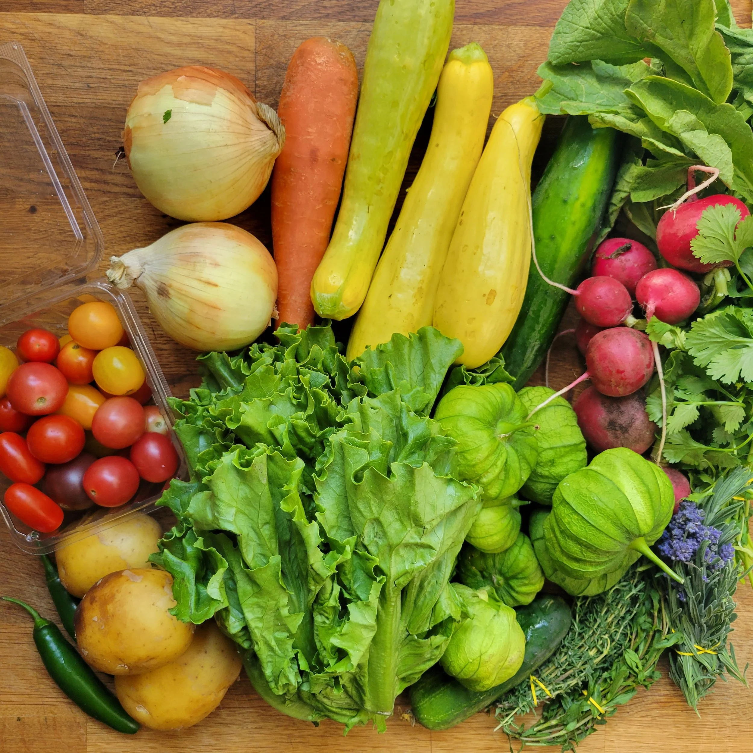 Week #10 Distribution 2022