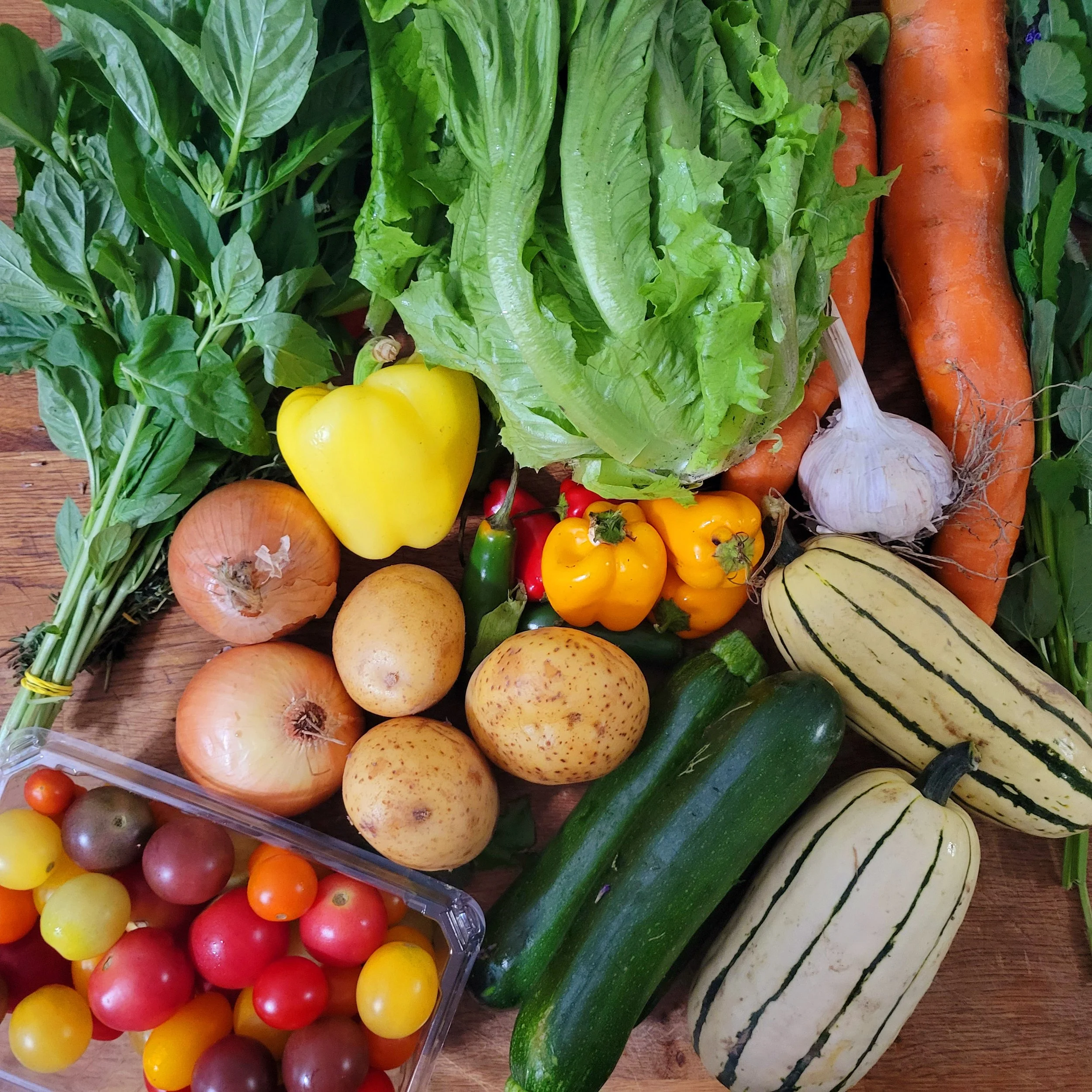 Week #13 Distribution 2022