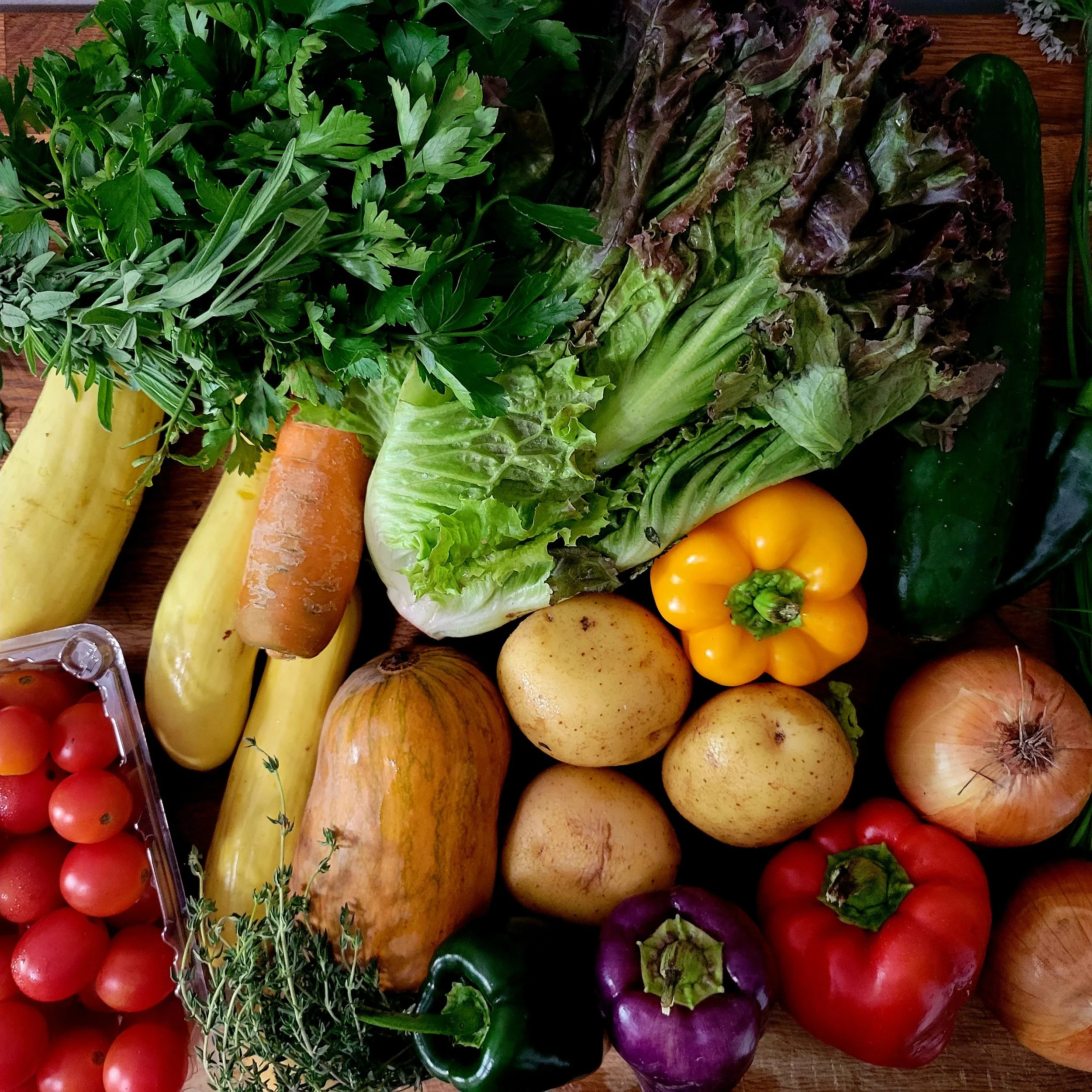 Week #14 Distribution 2022