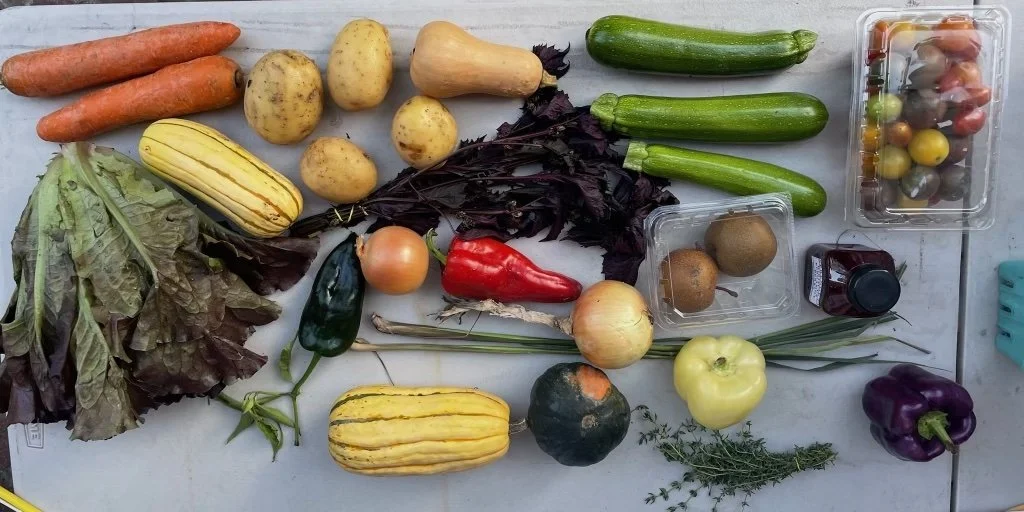 Week #16 Distribution 2022