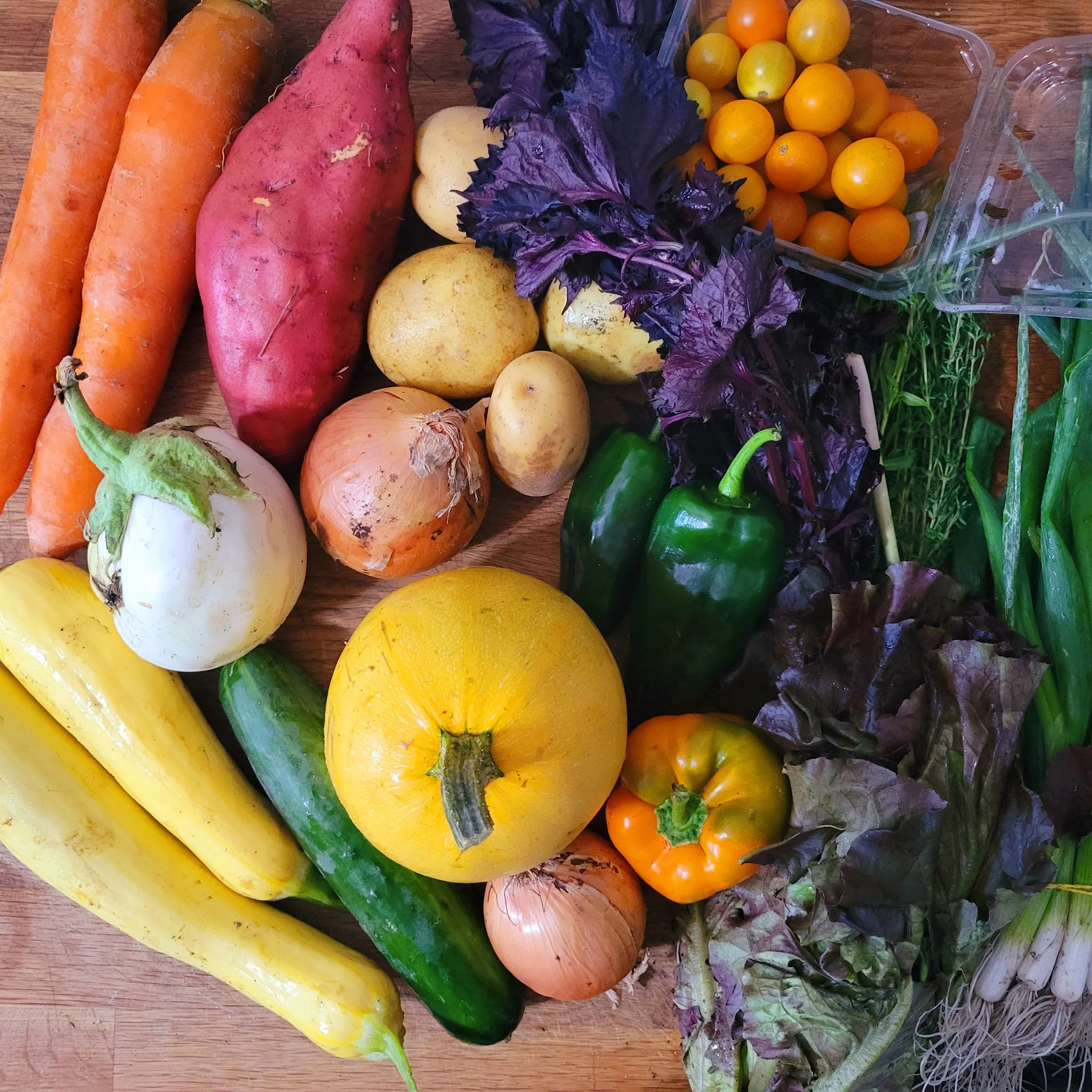 Week #15 Distribution 2022