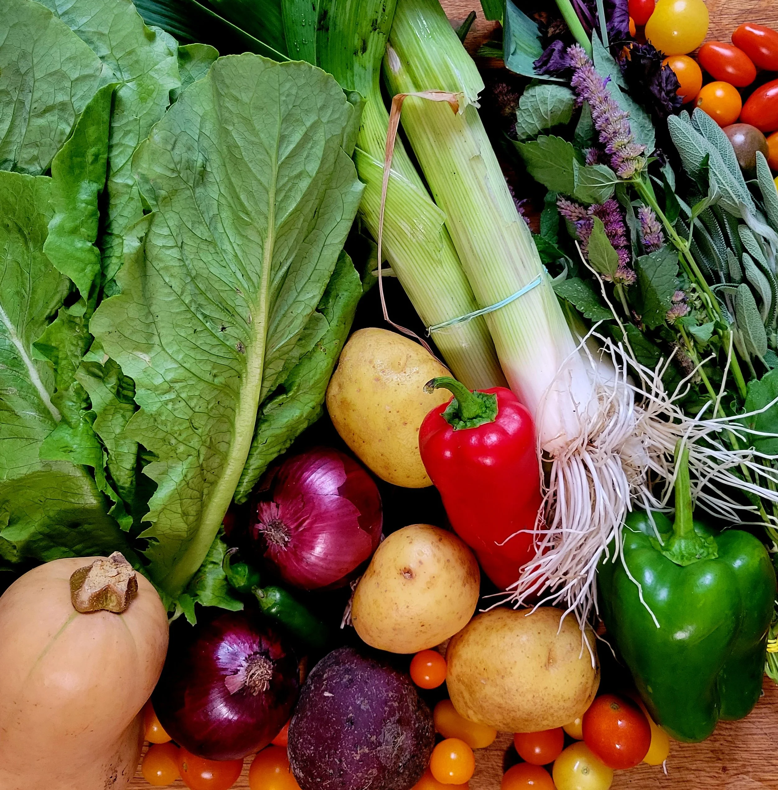 Week #17 Distribution 2022