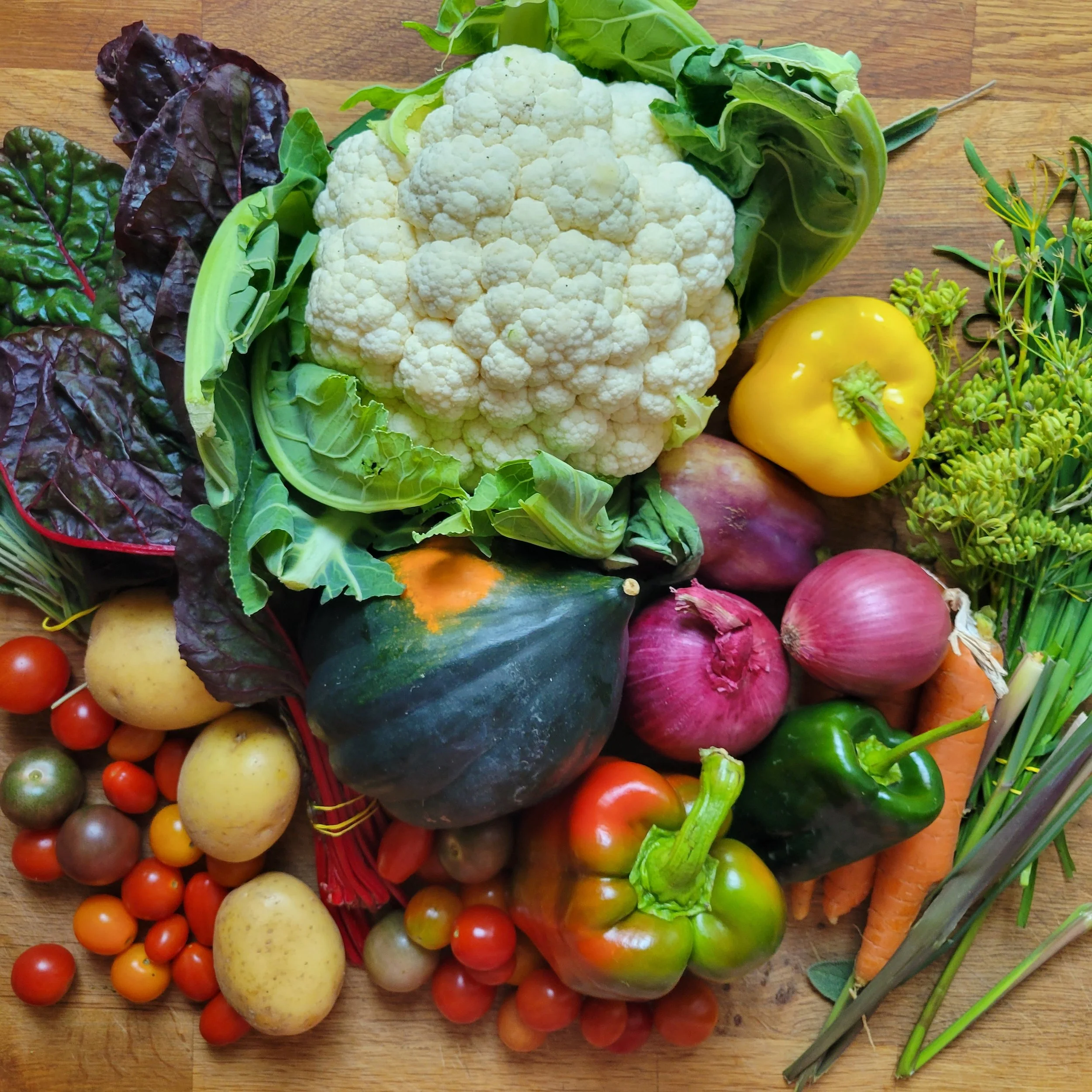 Week #18 Distribution 2022