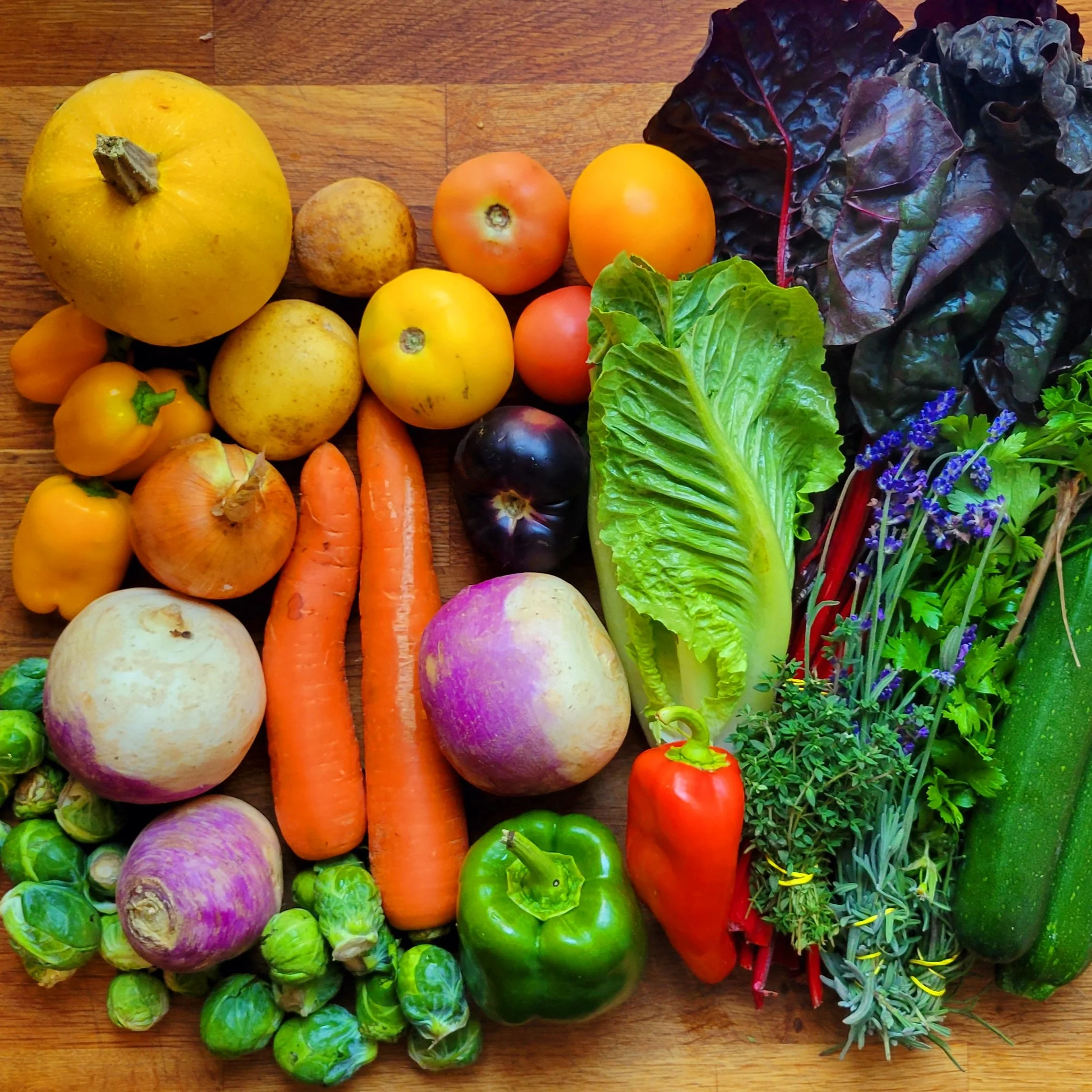 Week #20 Distribution 2022