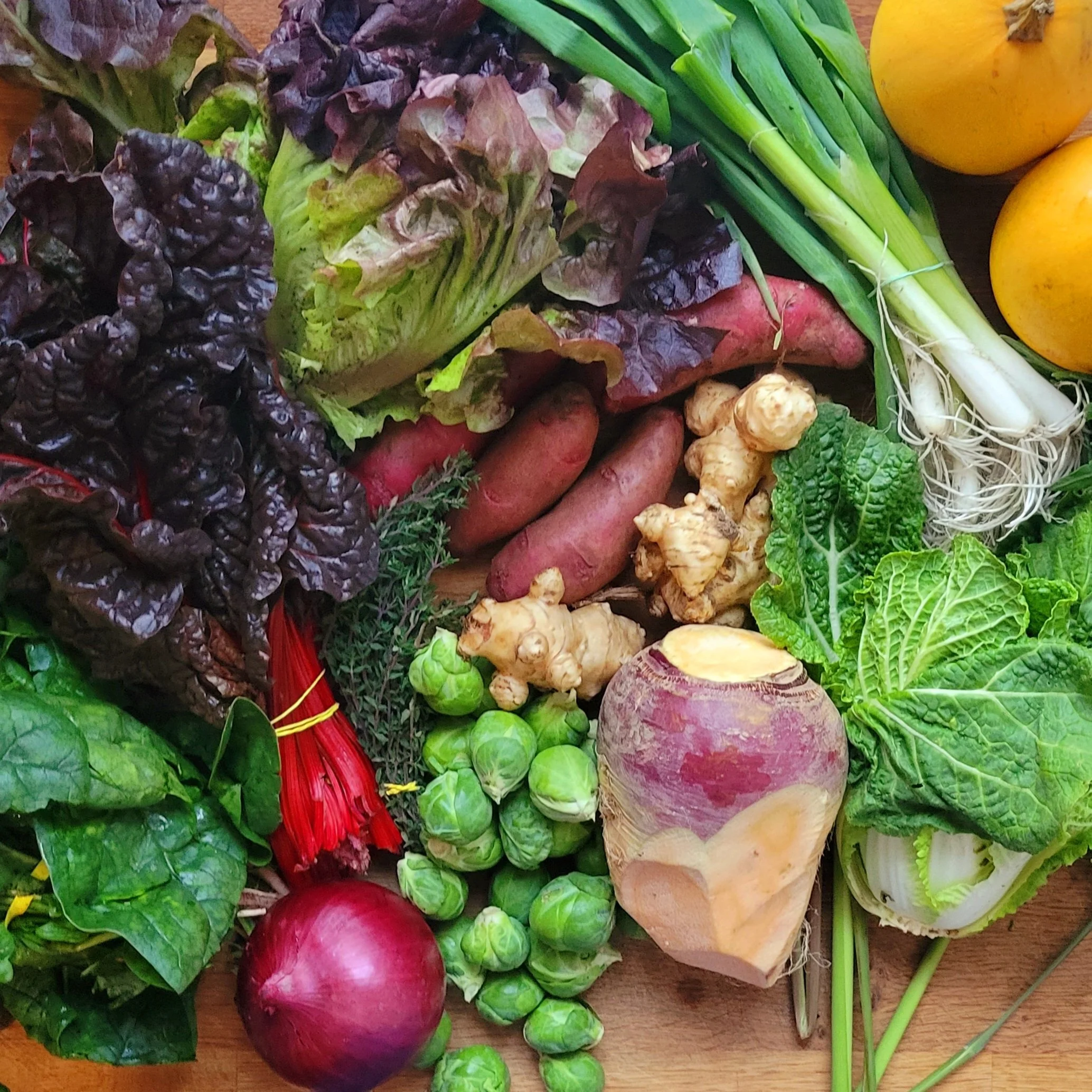 Week #21&amp;22 Distribution 2022