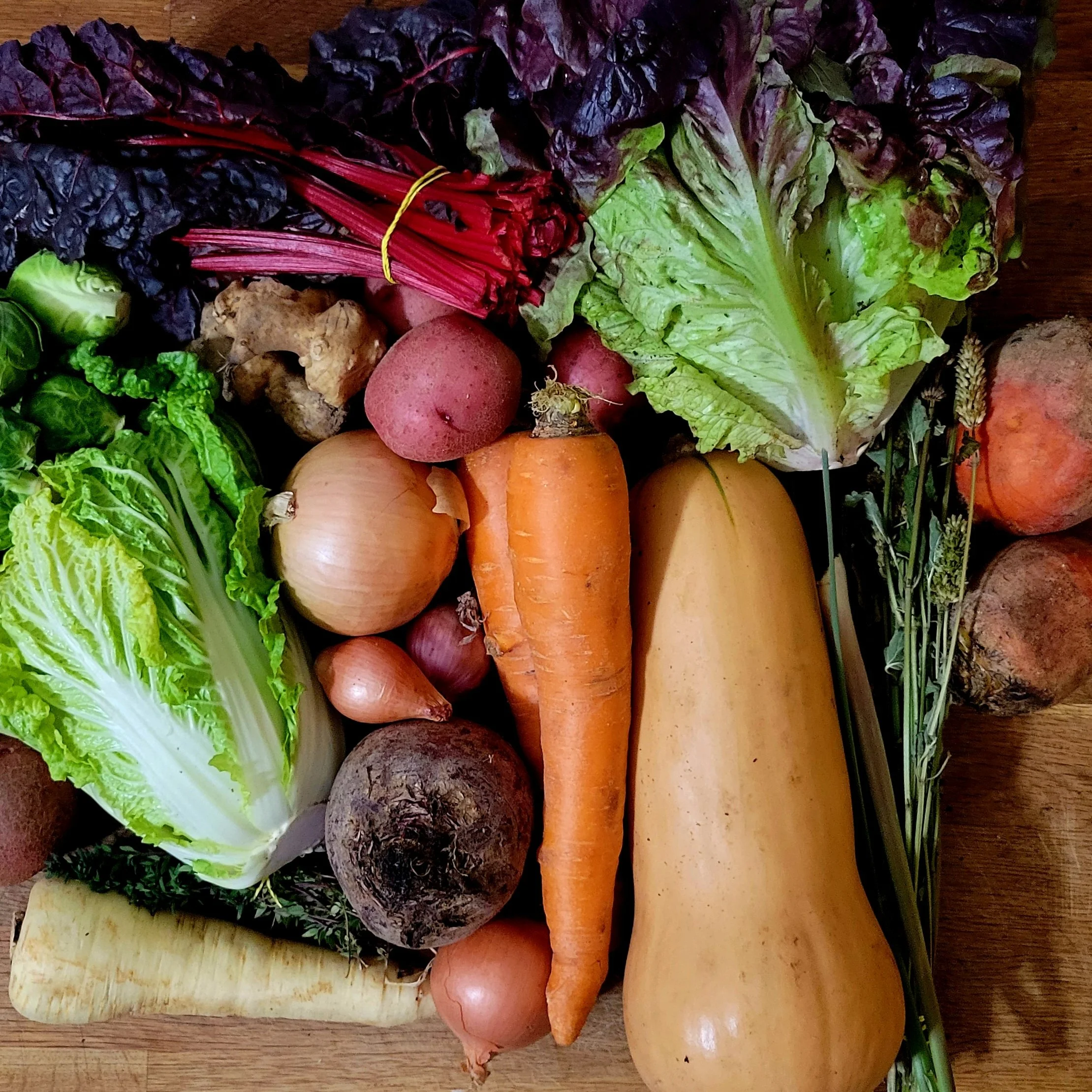 Week #23 Distribution 2022