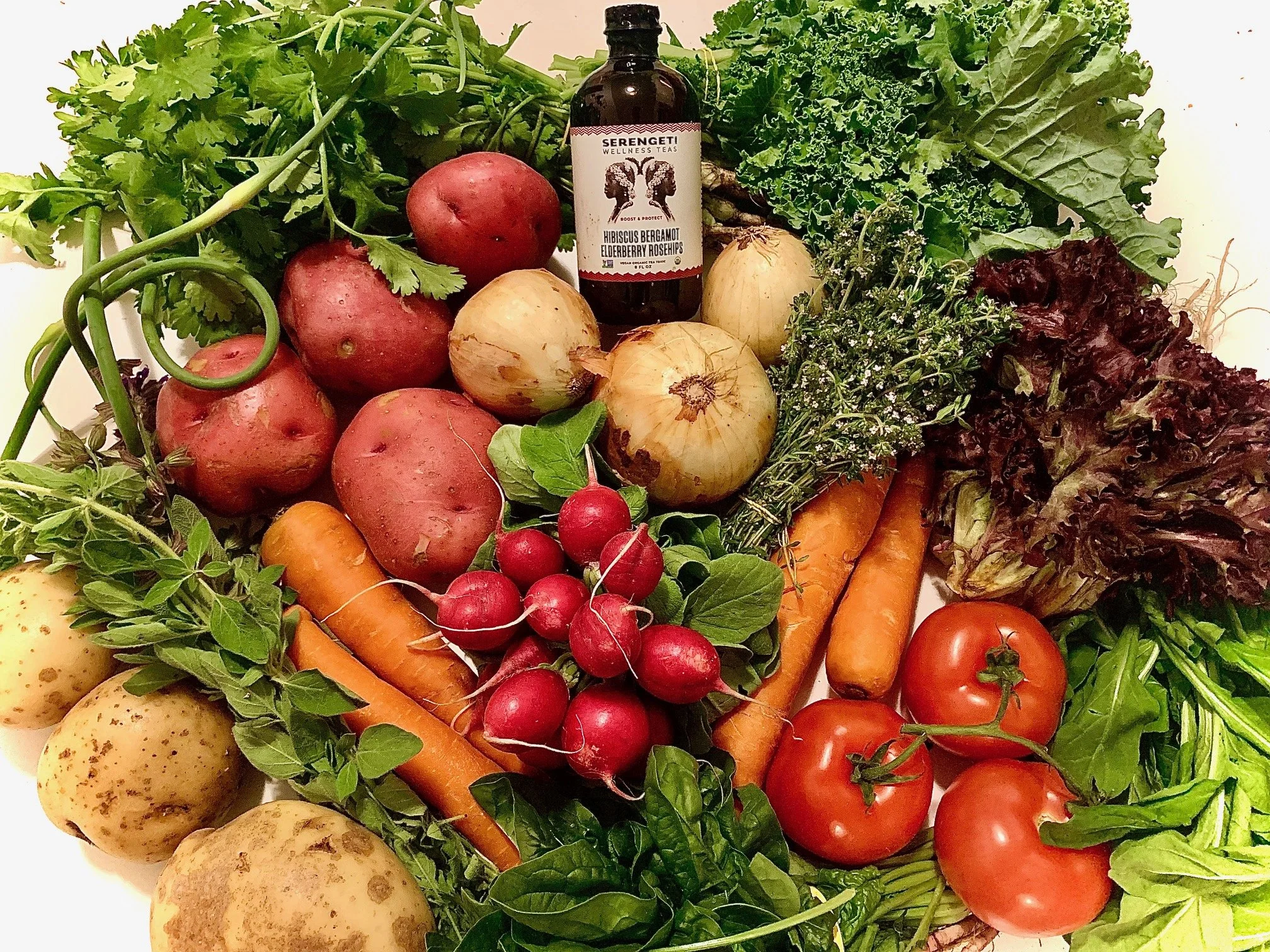 Week #1 Distribution 2023