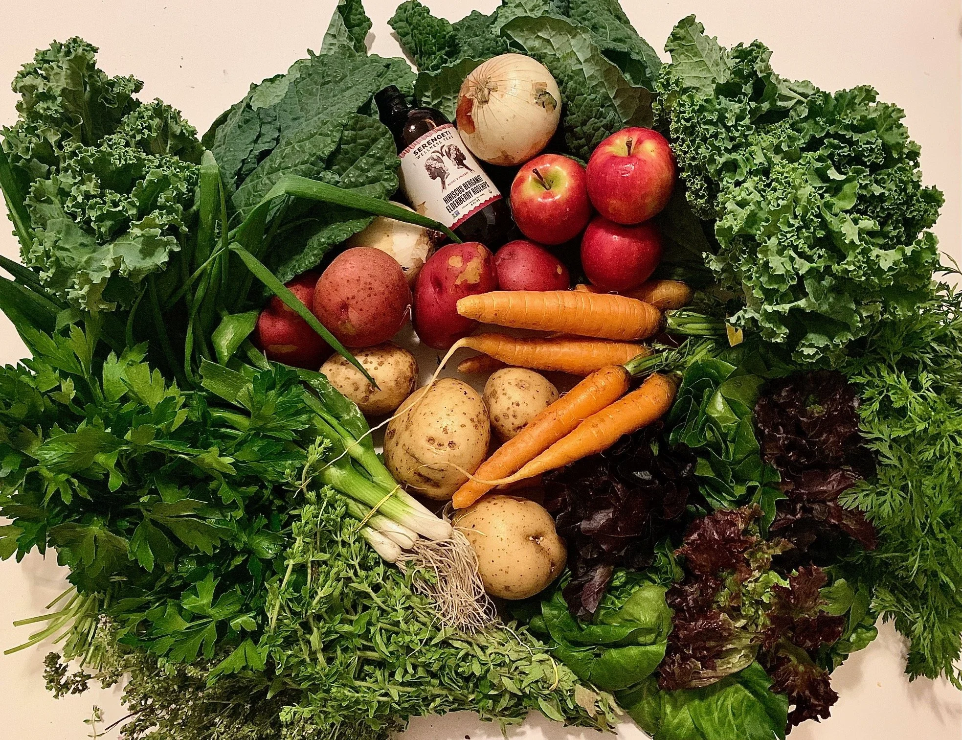 Week #2 Distribution 2023