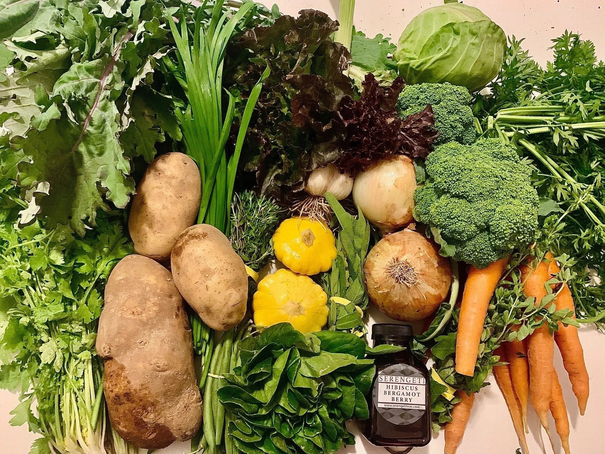 Week #4 Distribution 2023