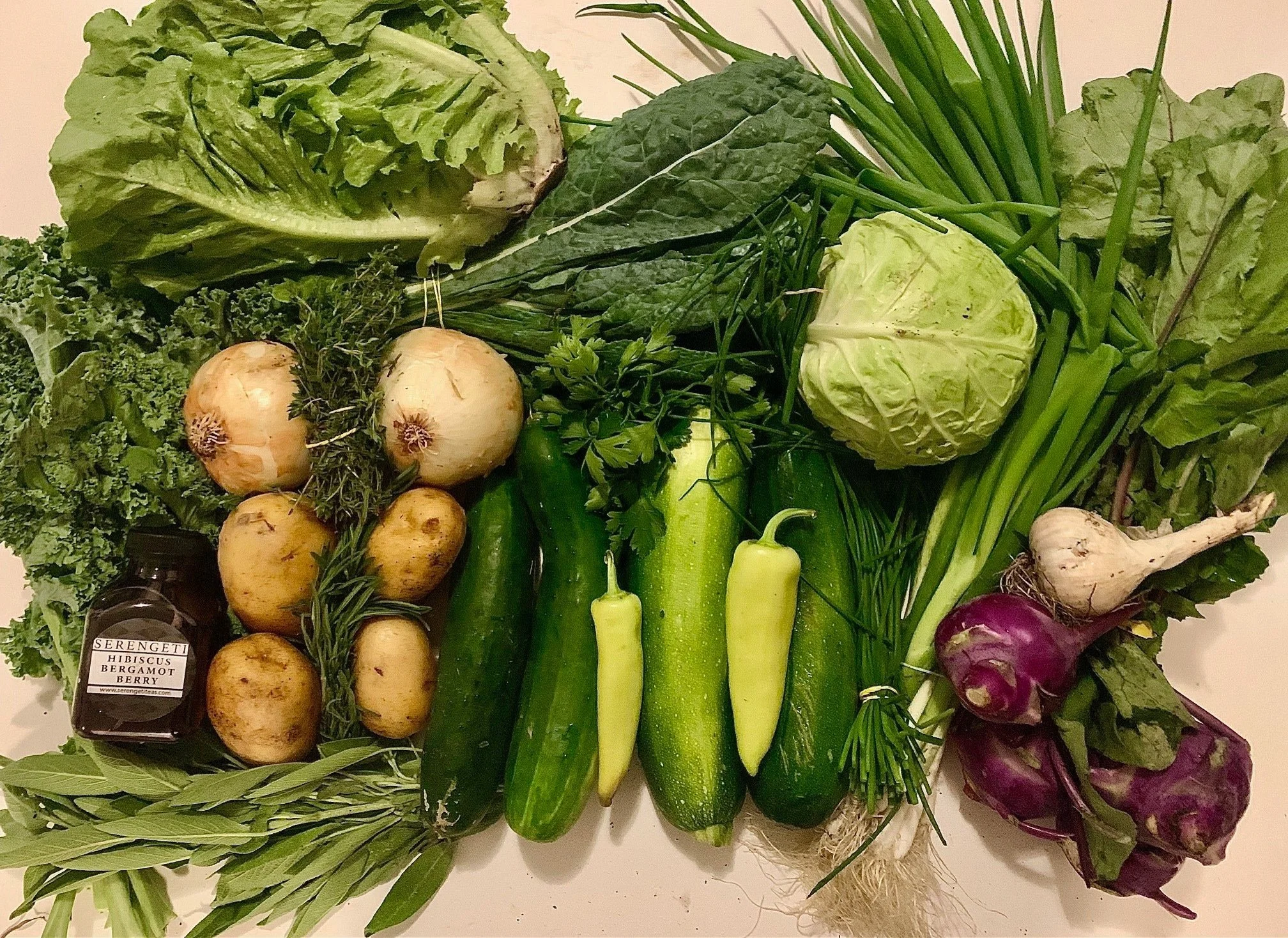 Week #5 Distribution 2023