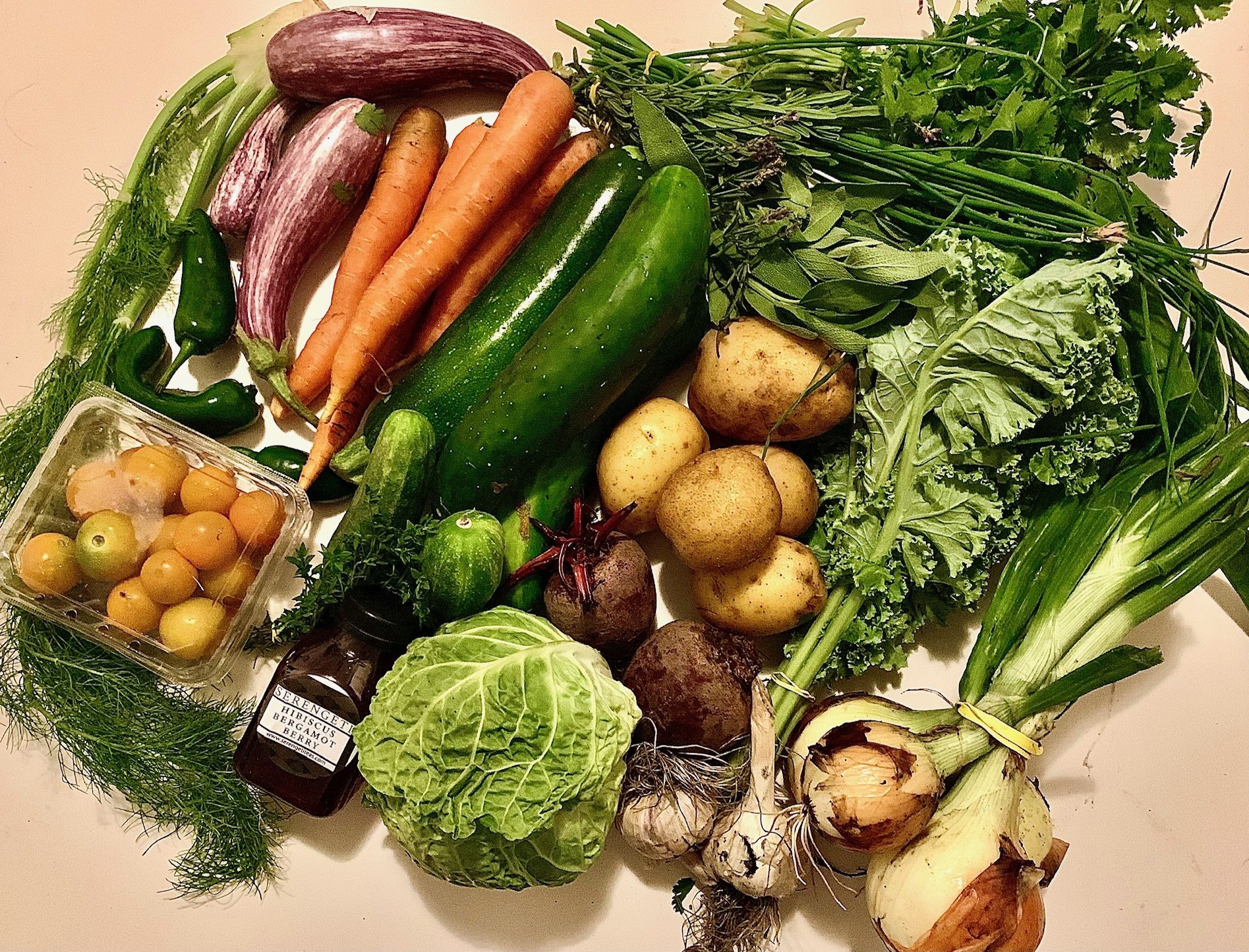 Week #6 Distribution 2023