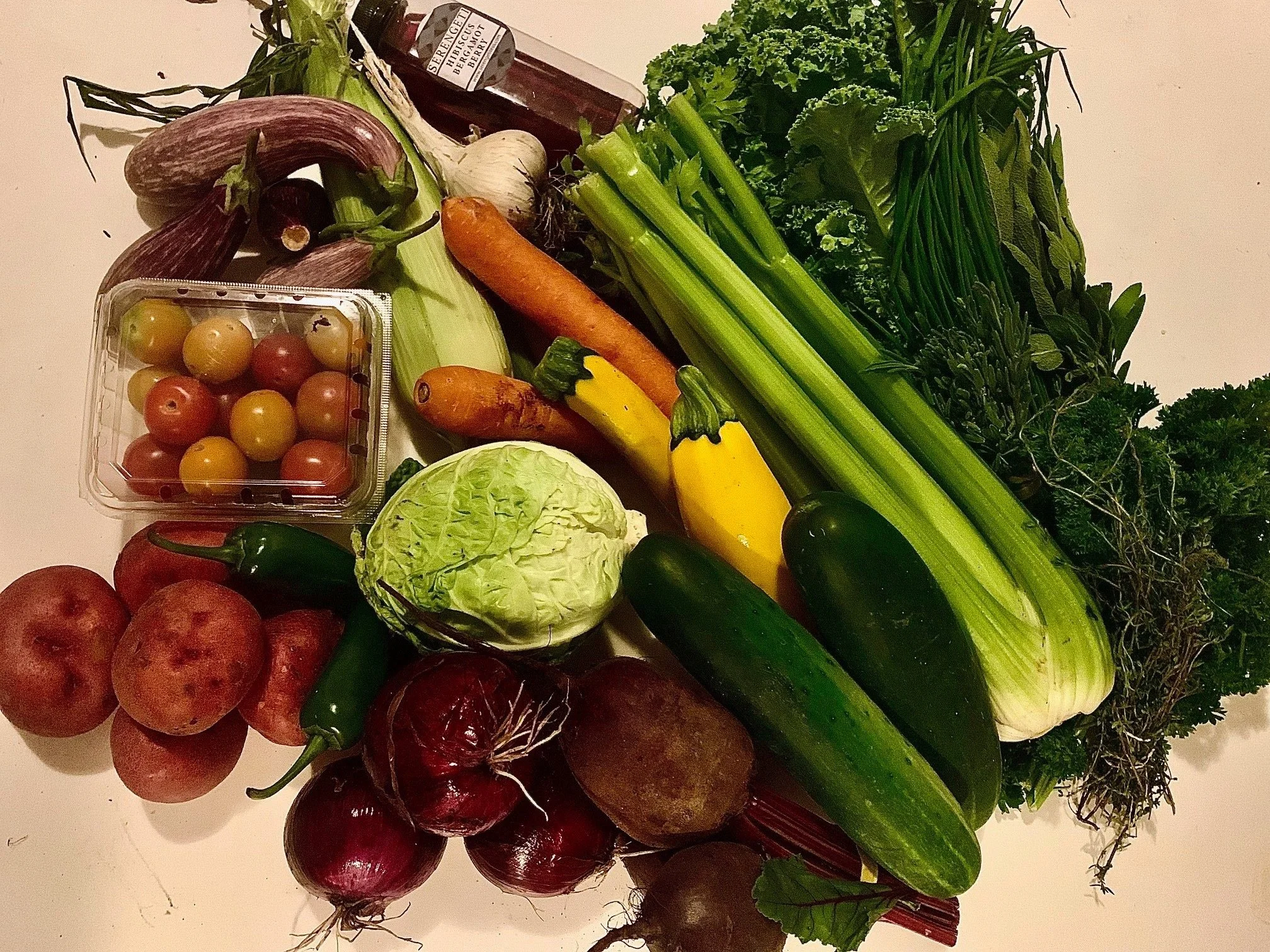 Week #7 Distribution 2023