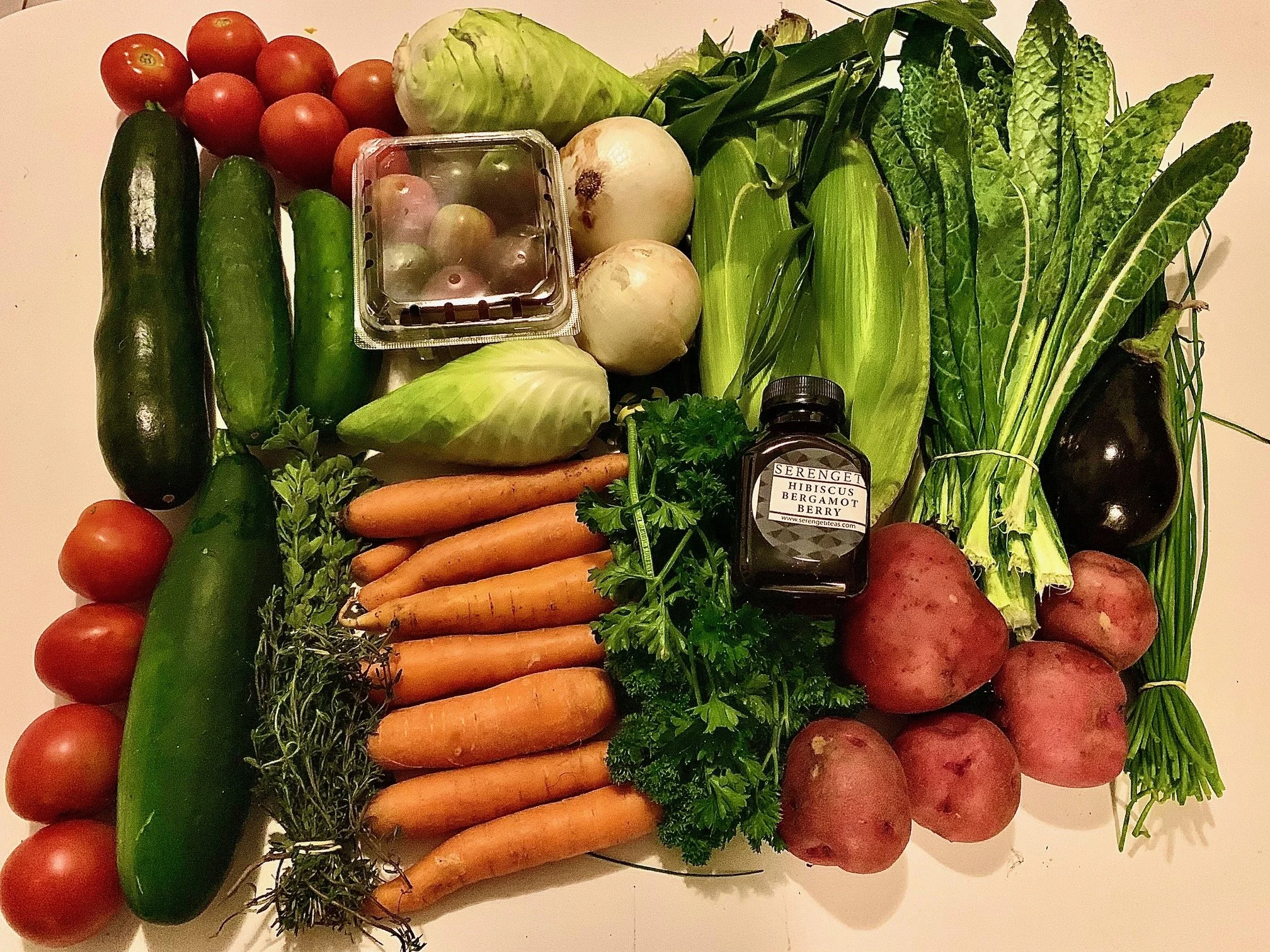 Week #8 Distribution 2023