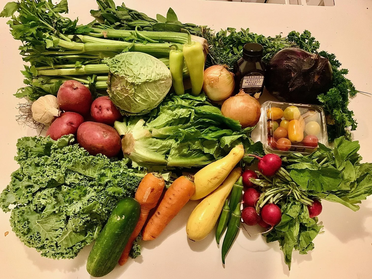 Week #10/11/12 Distribution 2023