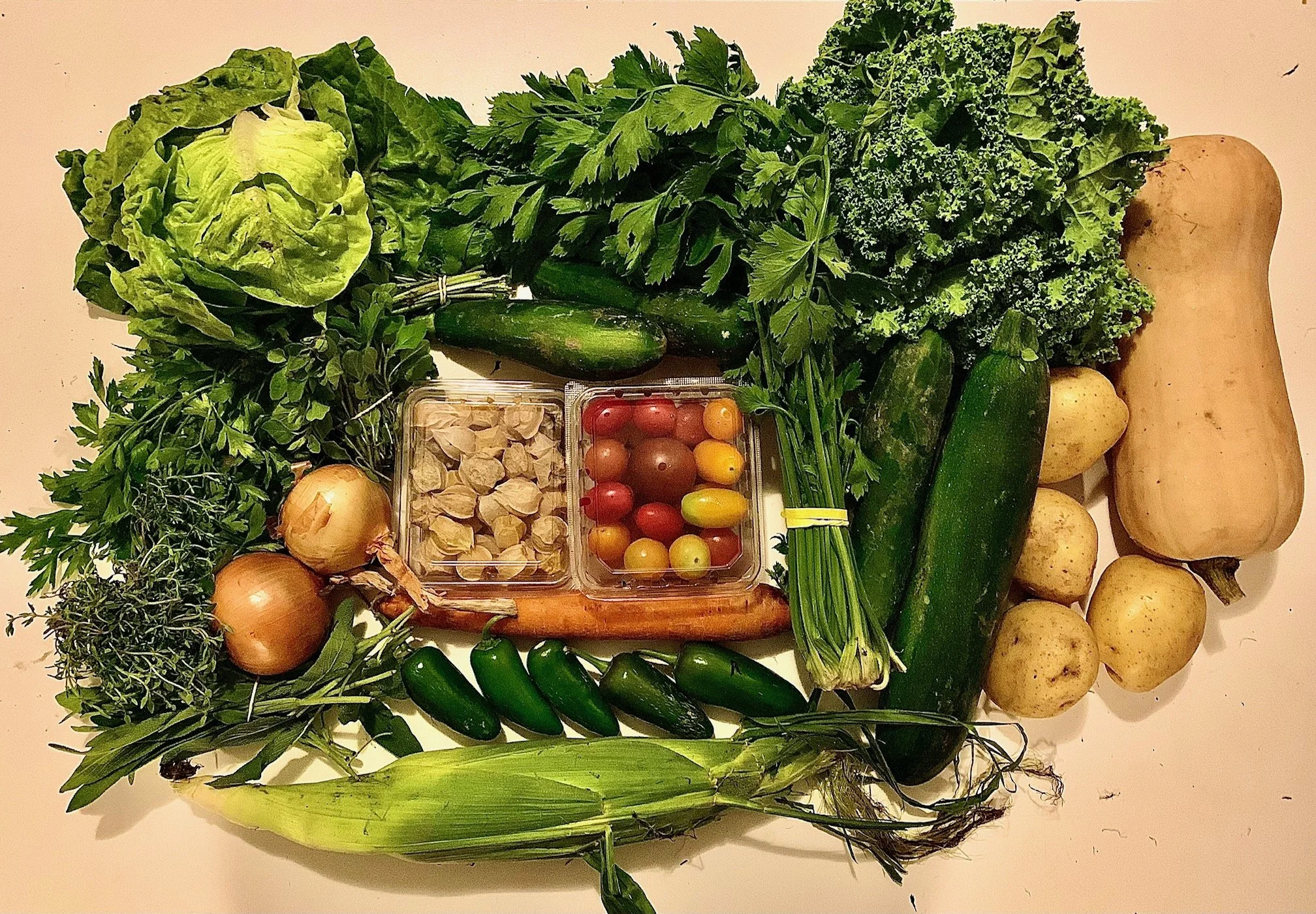 Week #13/14 Distribution 2023