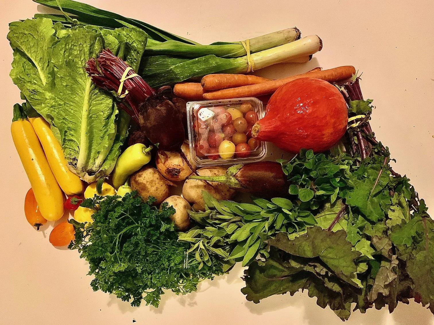 Week #15 Distribution 2023