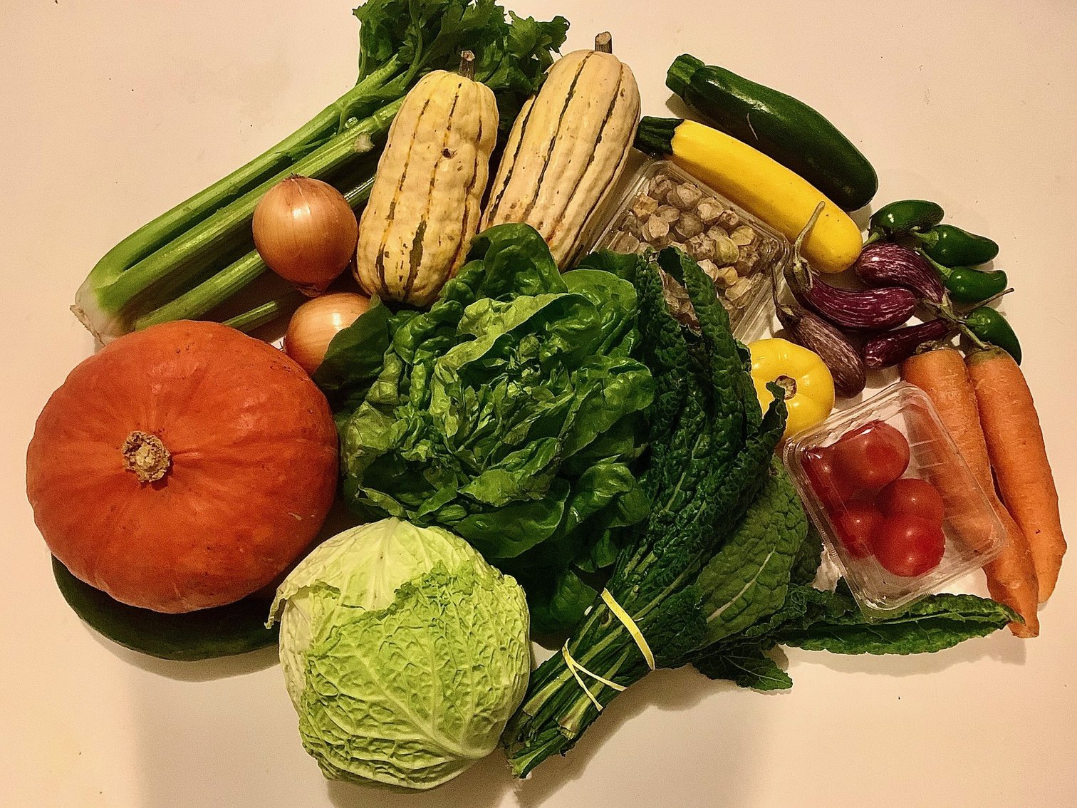 Week #17-#22 Distribution 2023