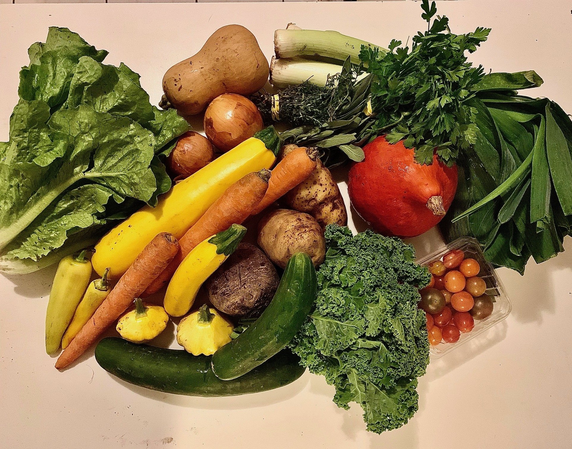 Week #16 Distribution 2023