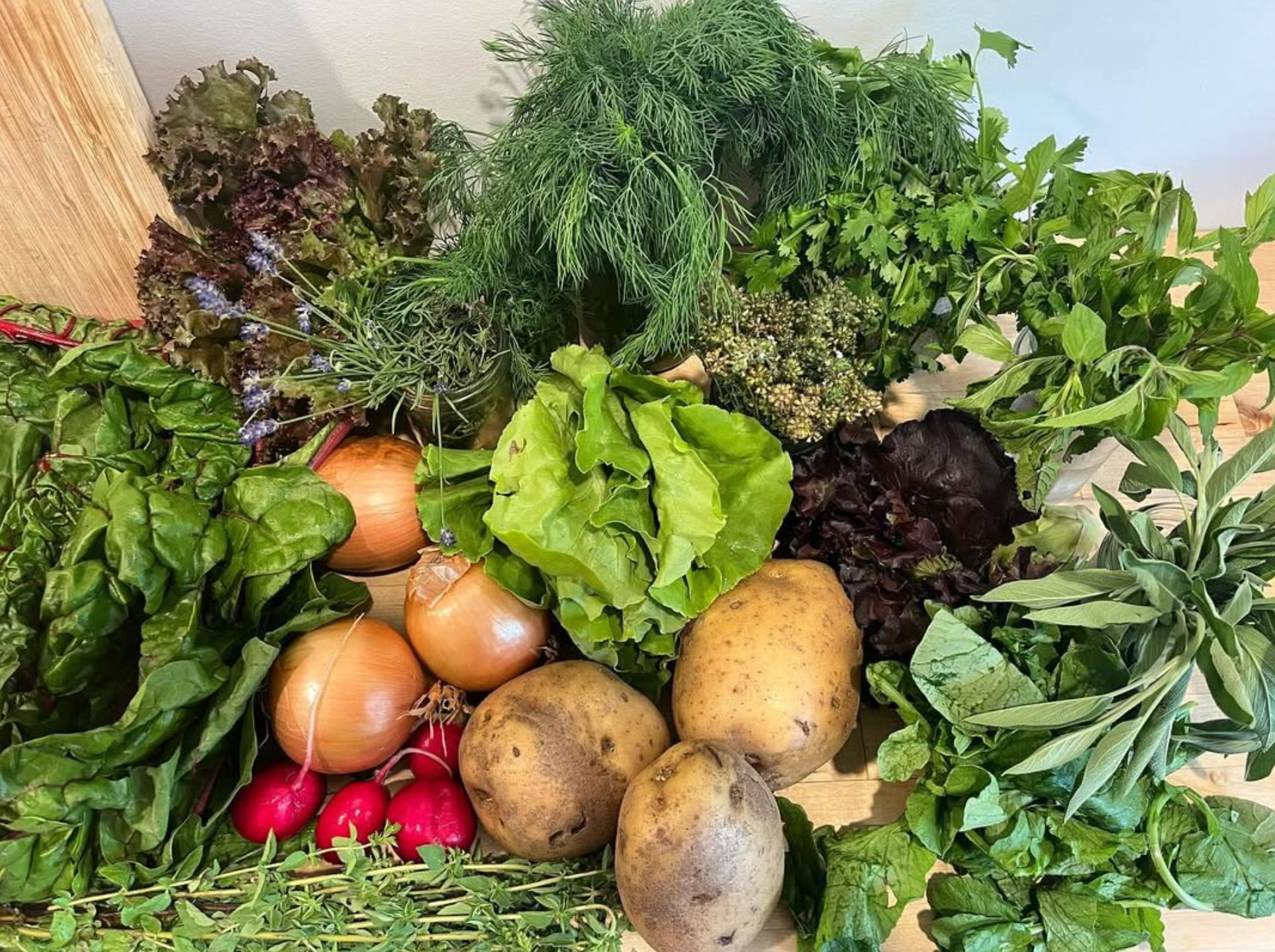 Week #1 Distribution 2024 