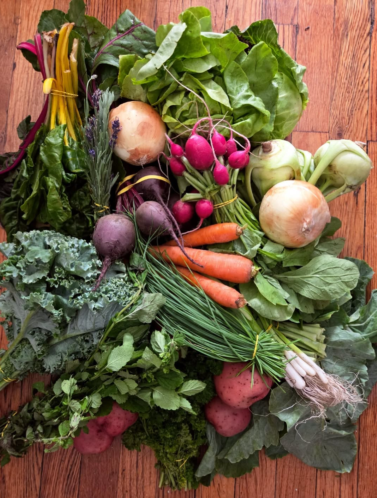 Week #4 Distribution 2025