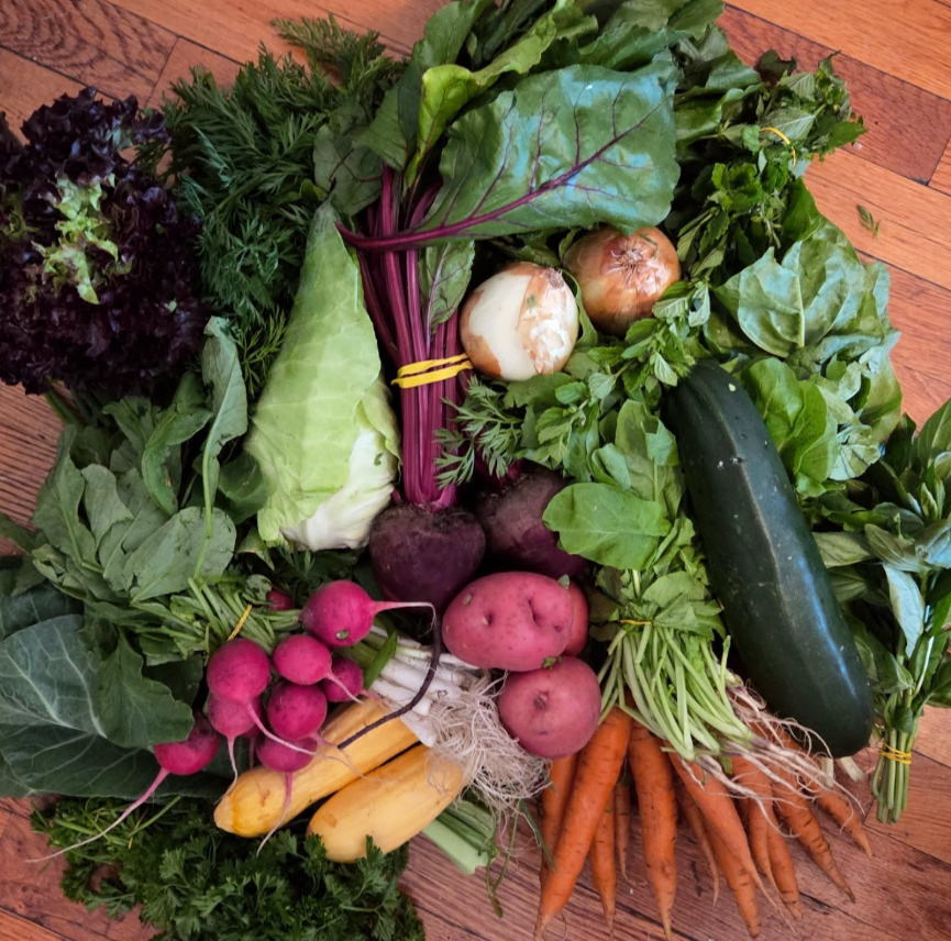 Week #5 Distribution 2025