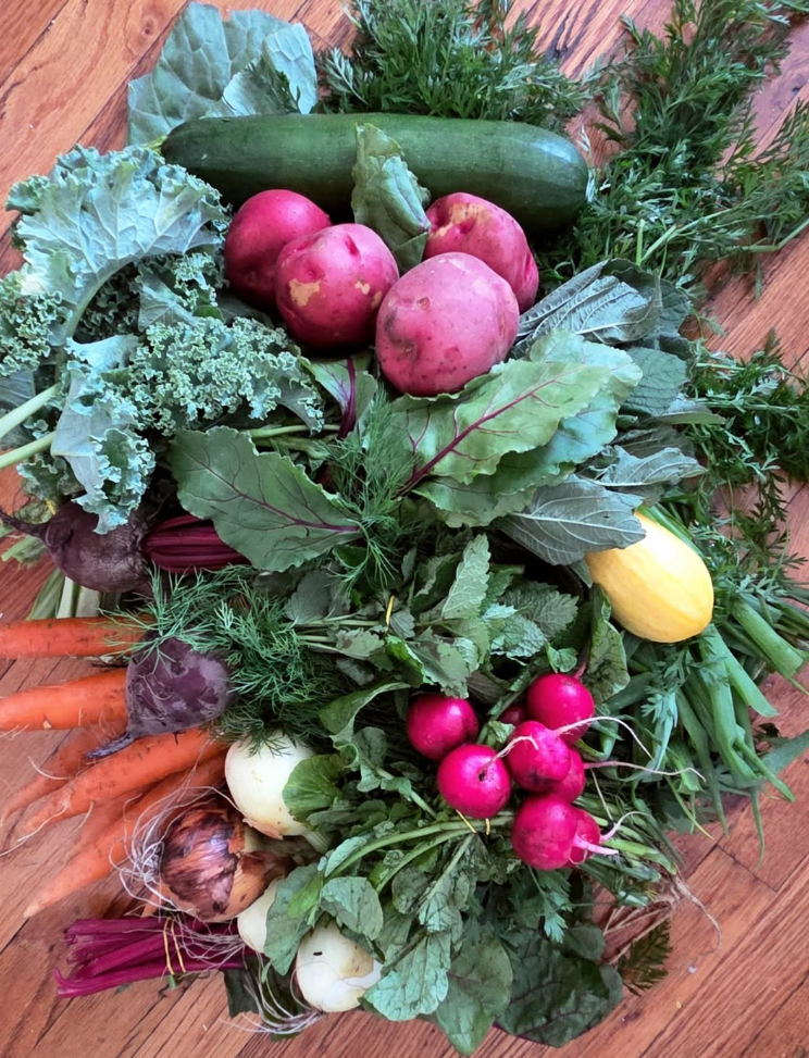 Week #6 Distribution 2025