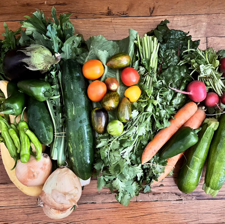 Week #9 Distribution 2025