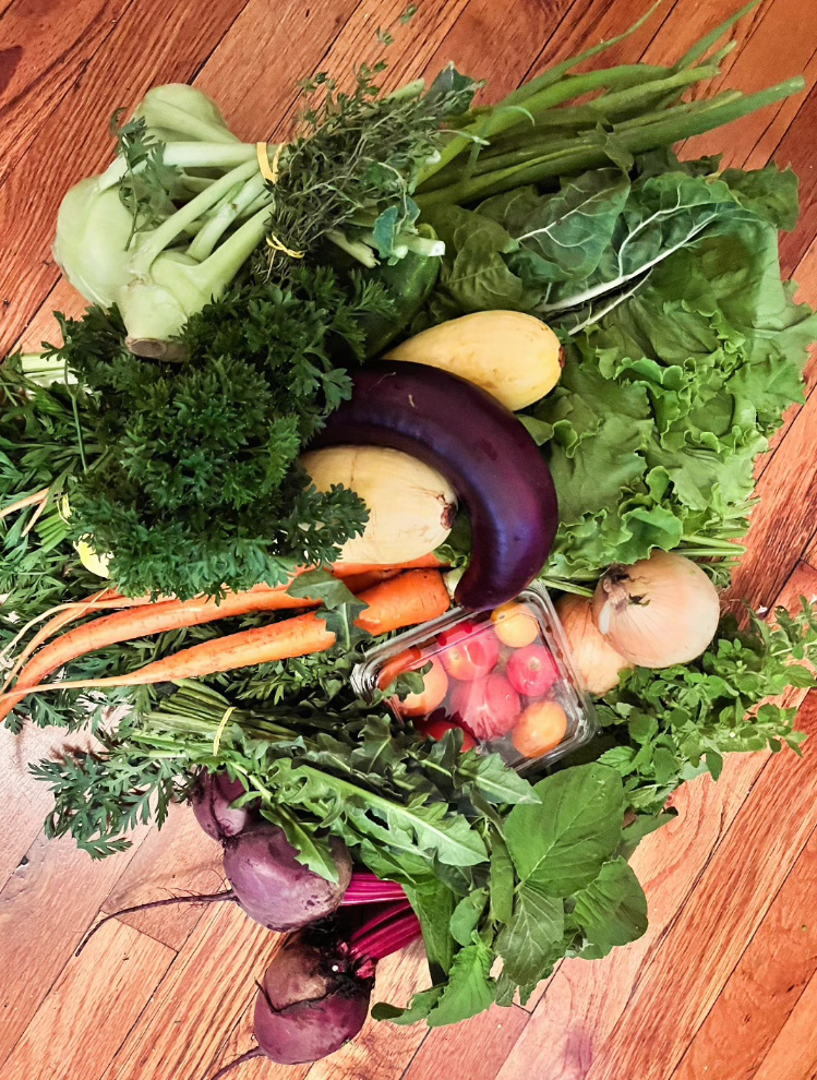 Week #8 Distribution 2025