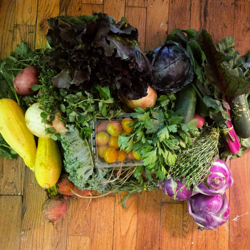 Week #7 Distribution 2025