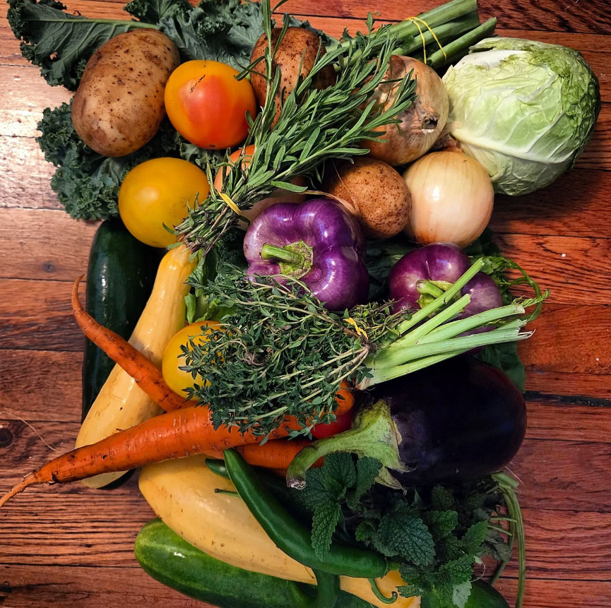 Week #10 Distribution 2025