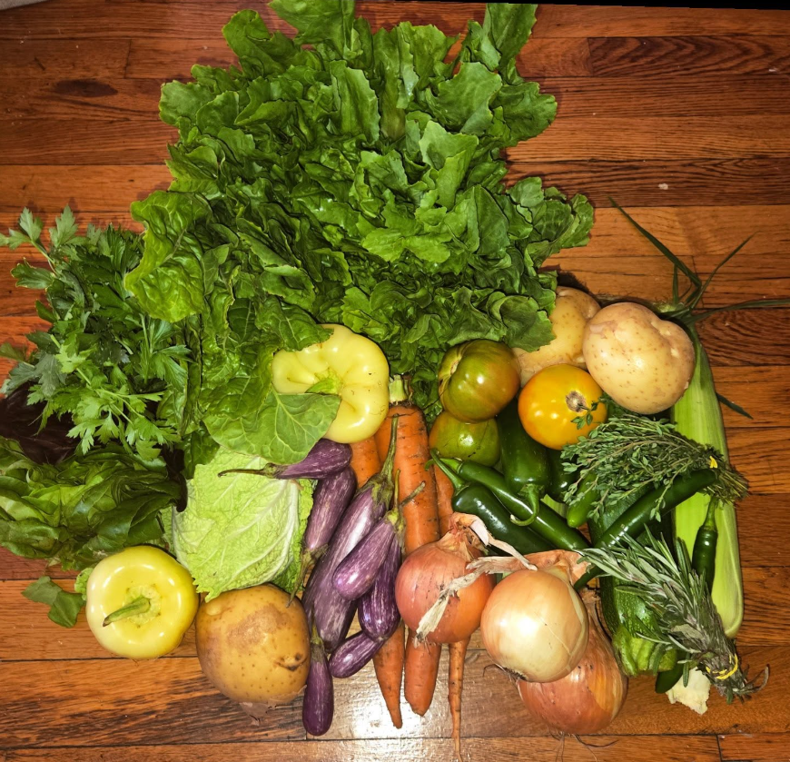 Week #13 Distribution 2025