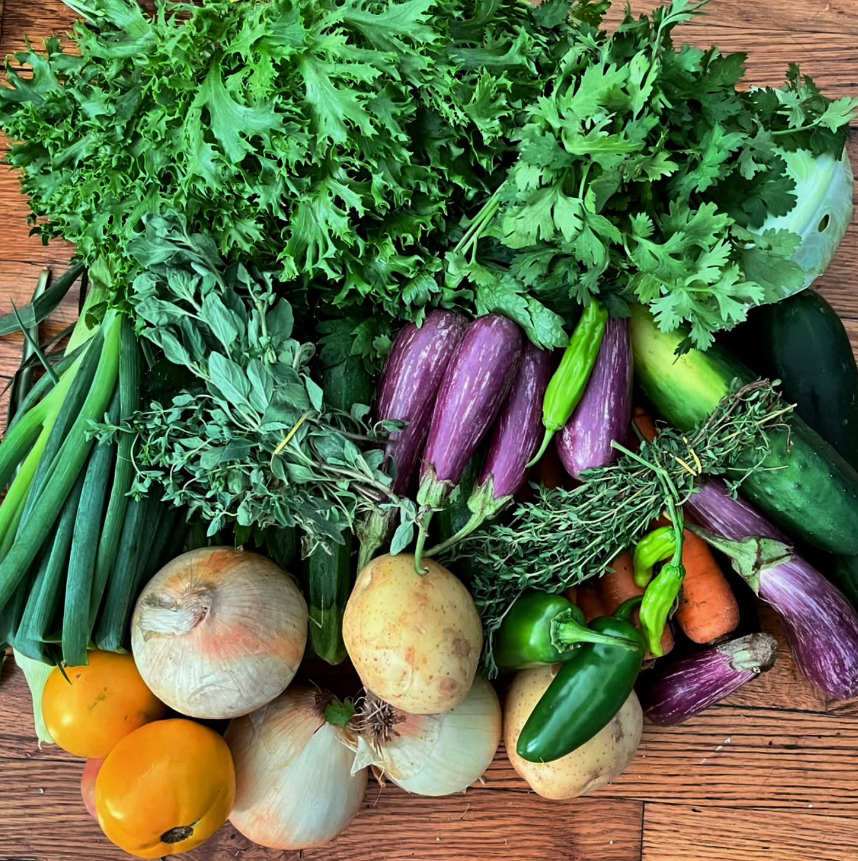 Week #12 Distribution 2025