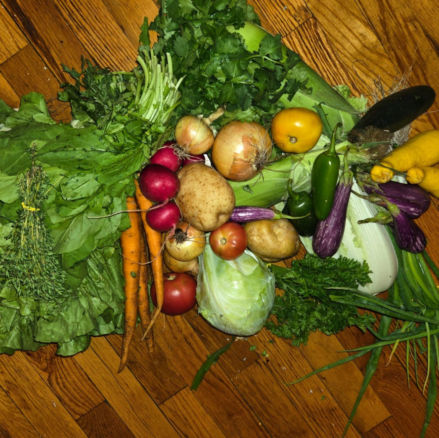 Week #15 Distribution 2025