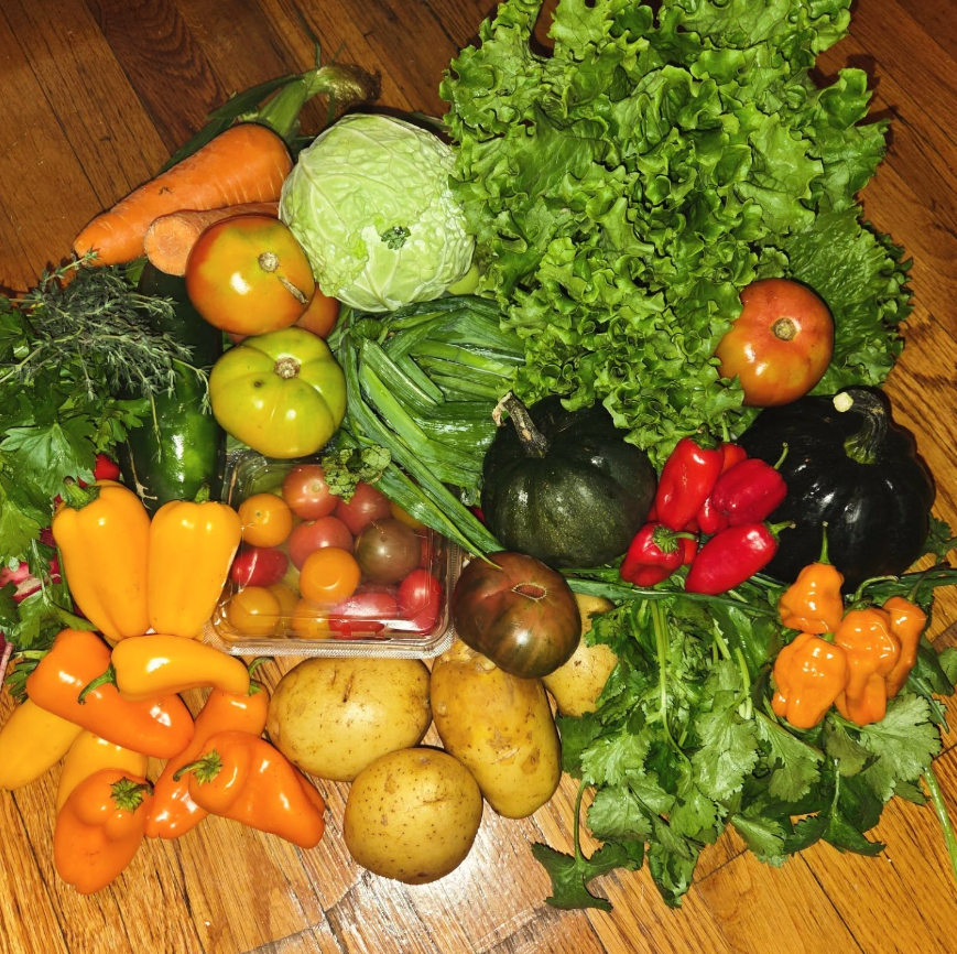 Week #16 Distribution 2025