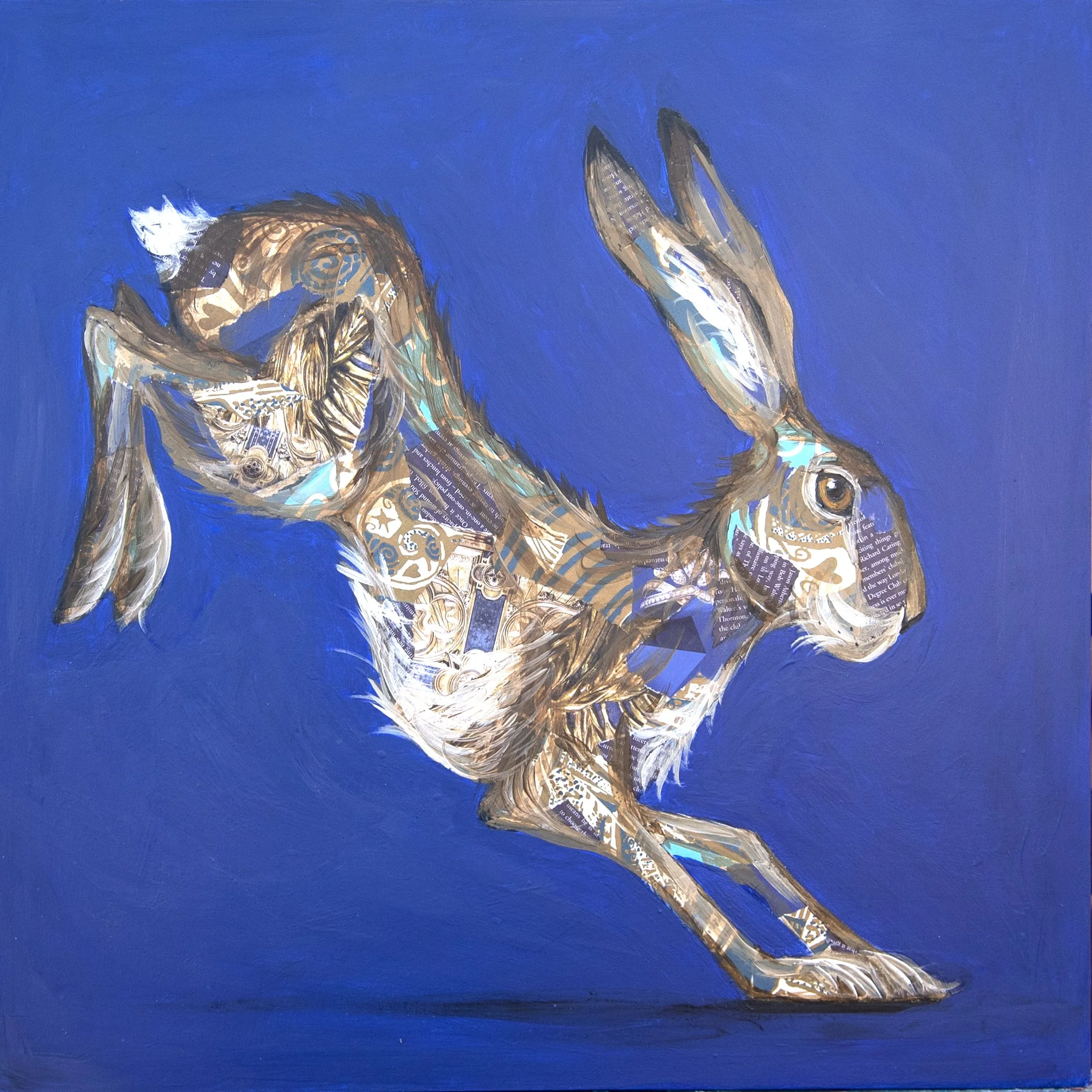 Hare Pack Hare Greeting Cards - Eco-Friendly 5 Pack with Recycled Envelopes ...