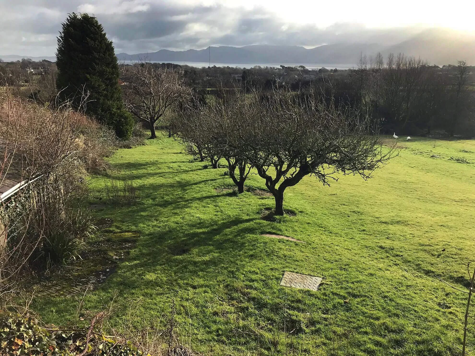 bodfa_grounds_1.jpg
