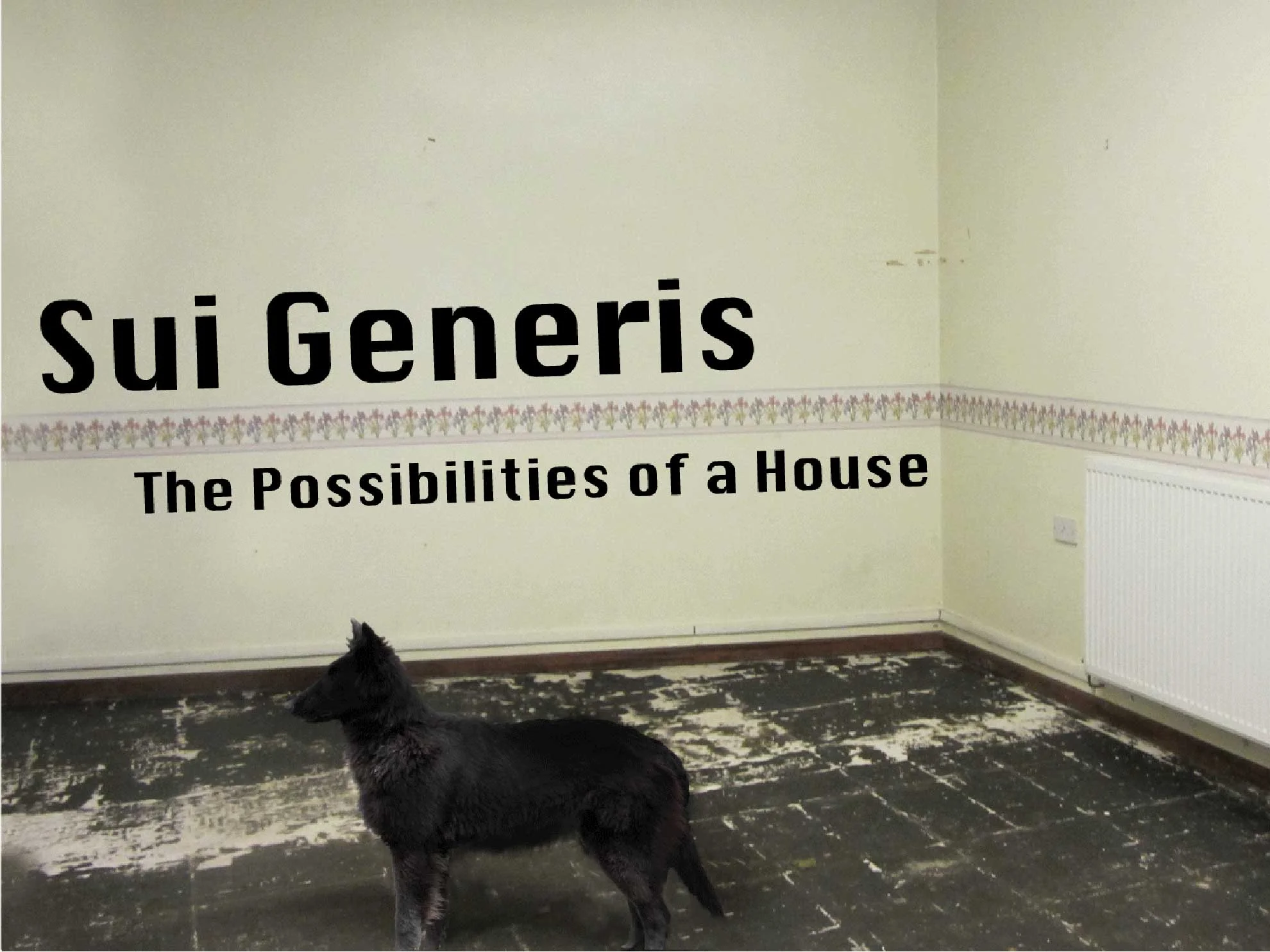 sui_generis_2.jpg