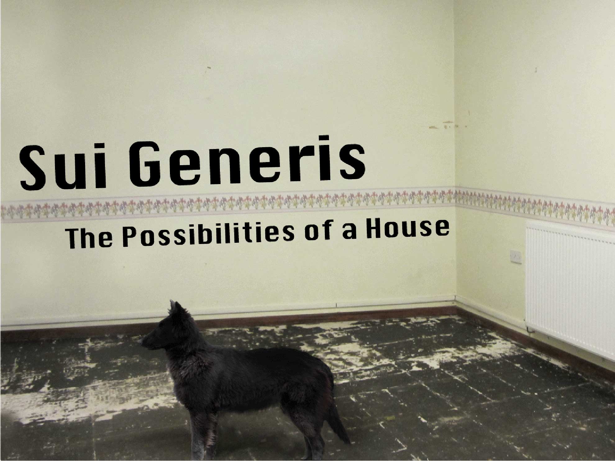 sui_generis_2.jpg