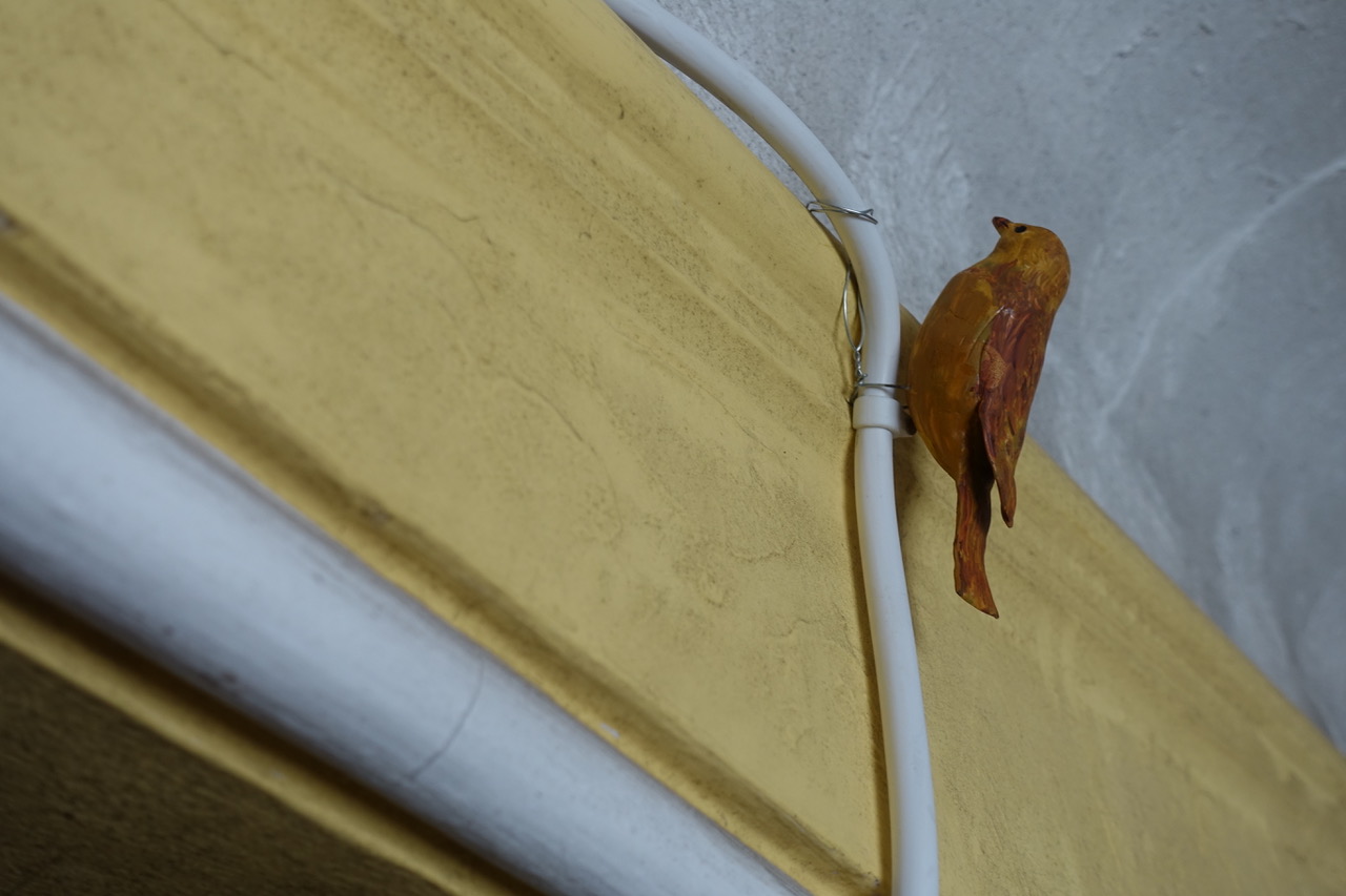 DSC00470.jpeg