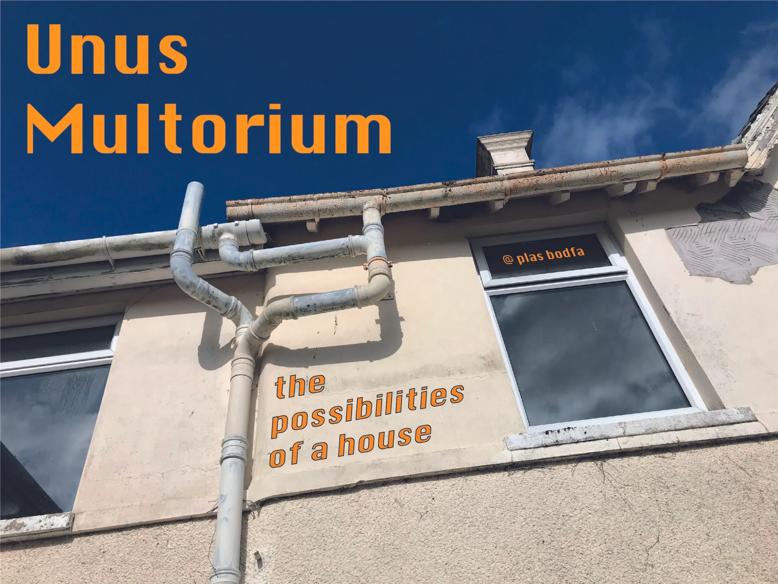 unus_multorium_4.jpg