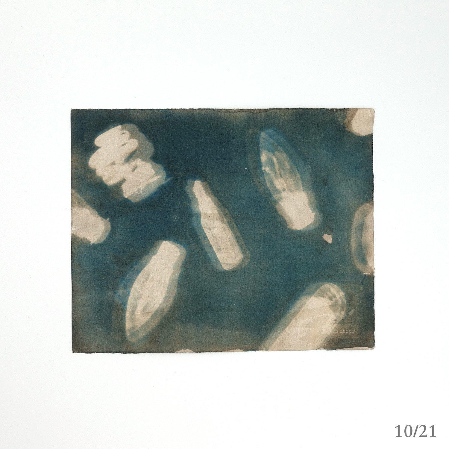 bill_chambers_10_square_web_no.jpg