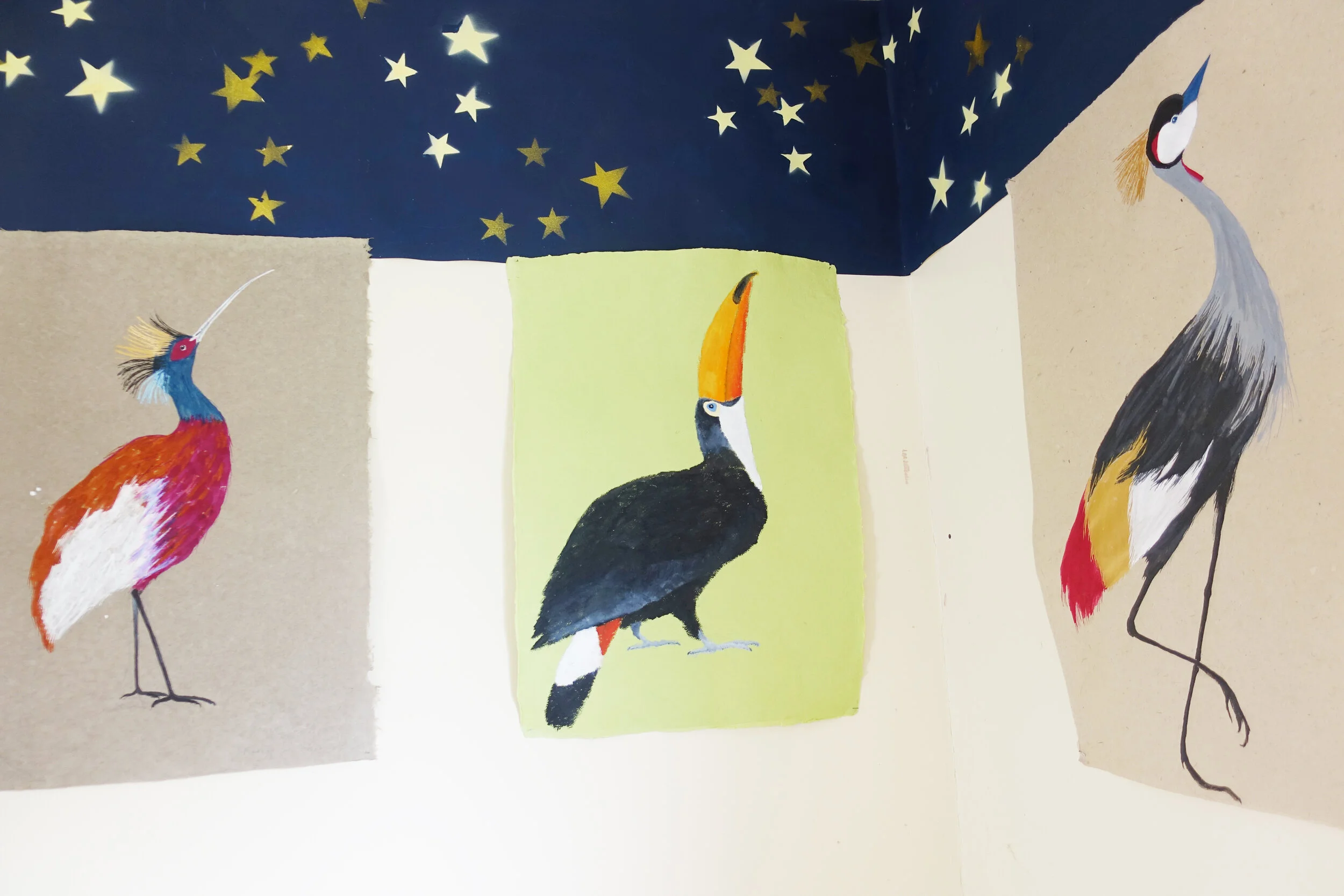 'Stargazing' Judith Samuel