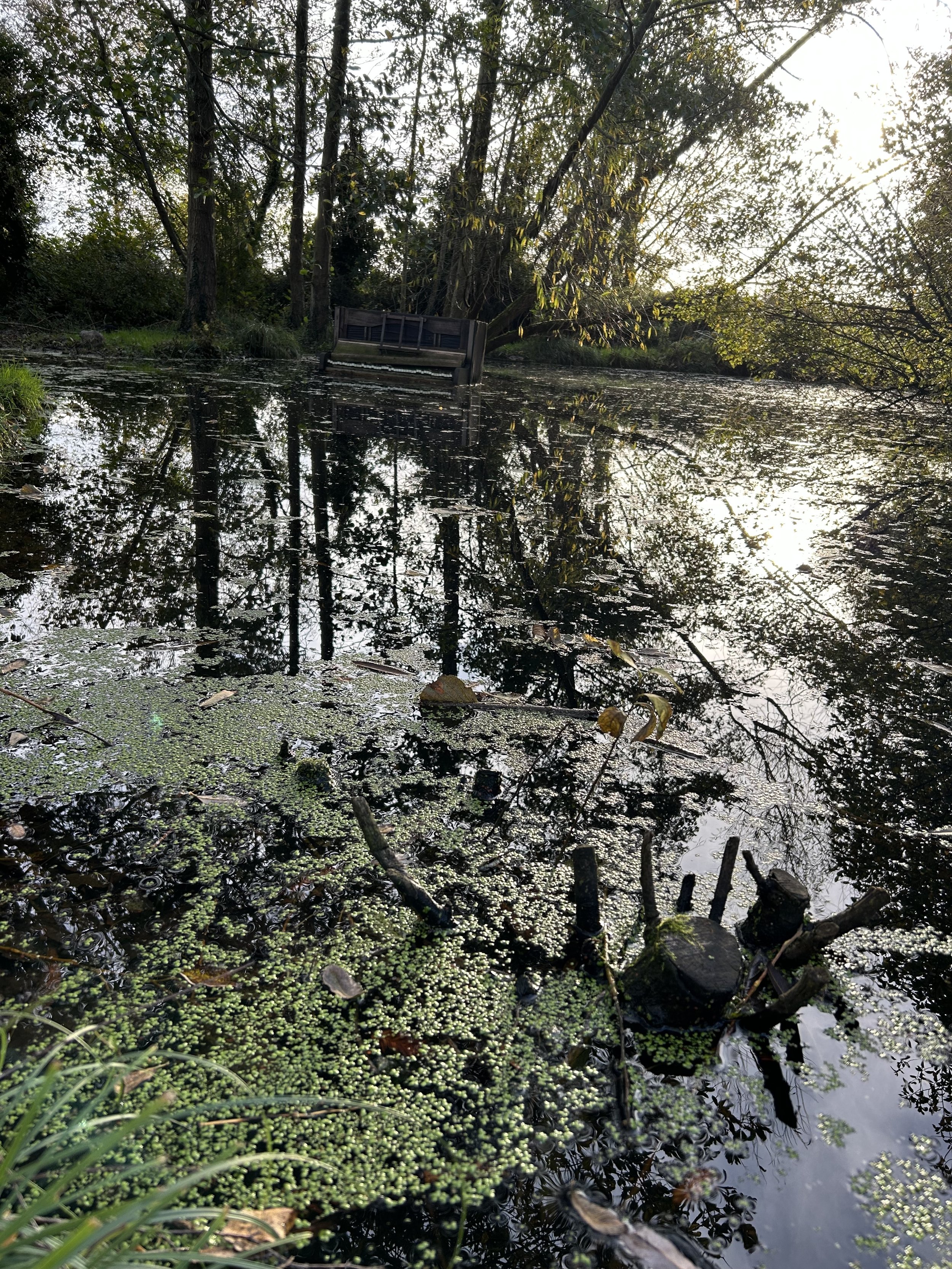 IMG_8506.jpeg