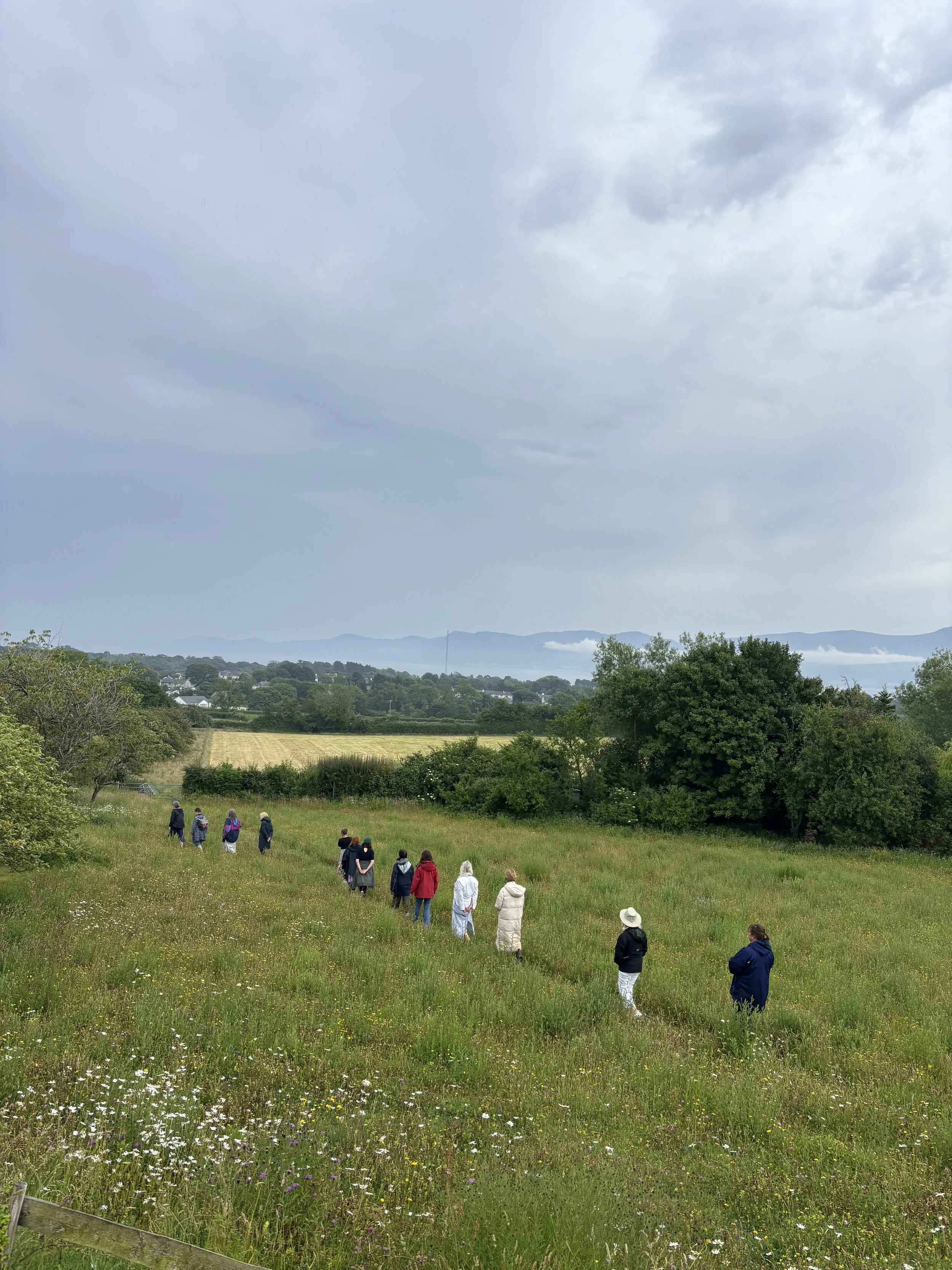 Grŵp o bobl yn cerdded ar hyd cae glaswelltog gyda blodau gwyllt, coed, a mynyddoedd pell o dan awyr gymylog.
