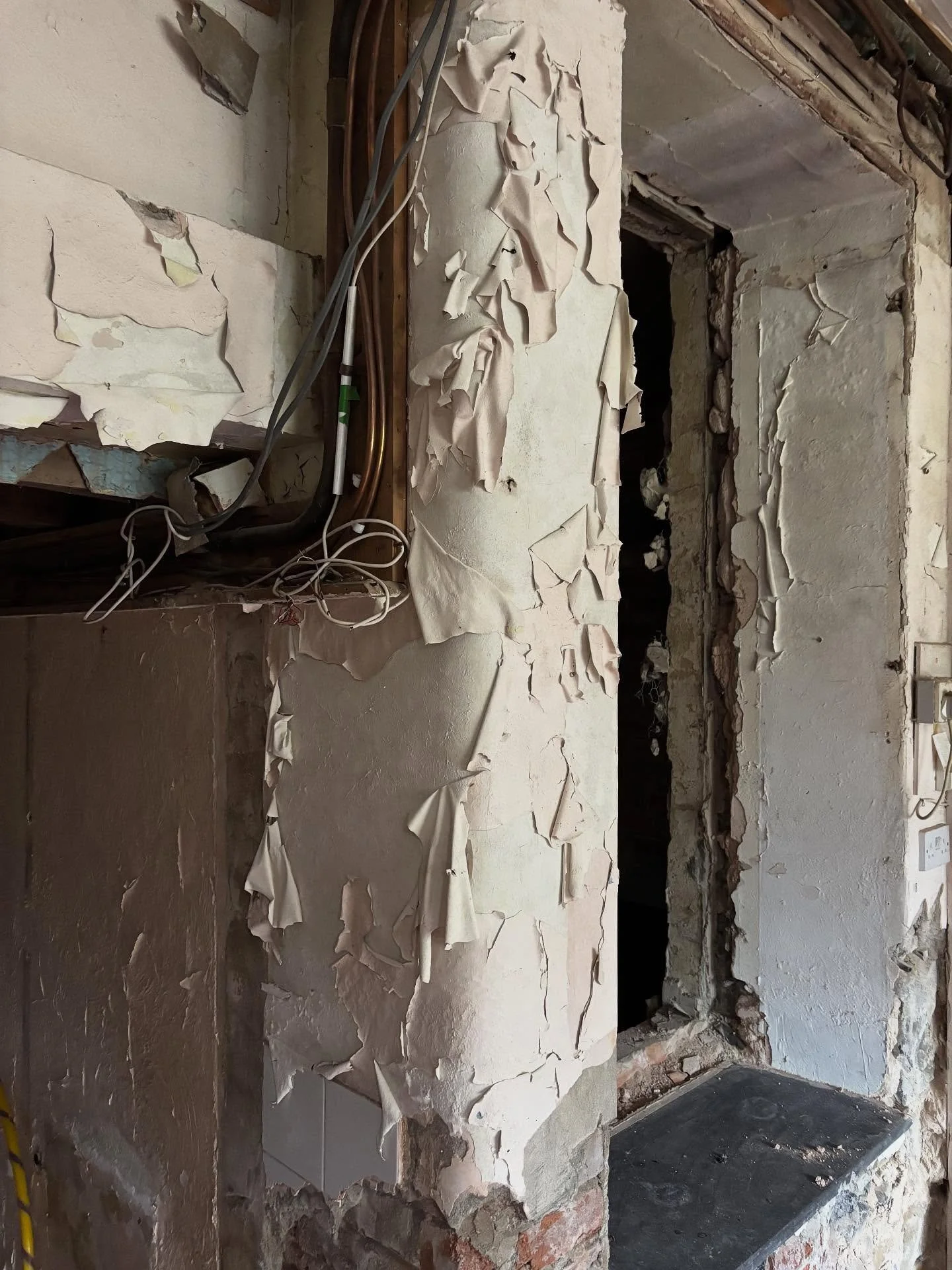 Let’s get some fleshy, peeling paint photos out of the way, shall we? Can’t help but to be attracted by the texture, but I don’t like feeling romantic about the distress and neglect that has brought us to this point. But this is ins