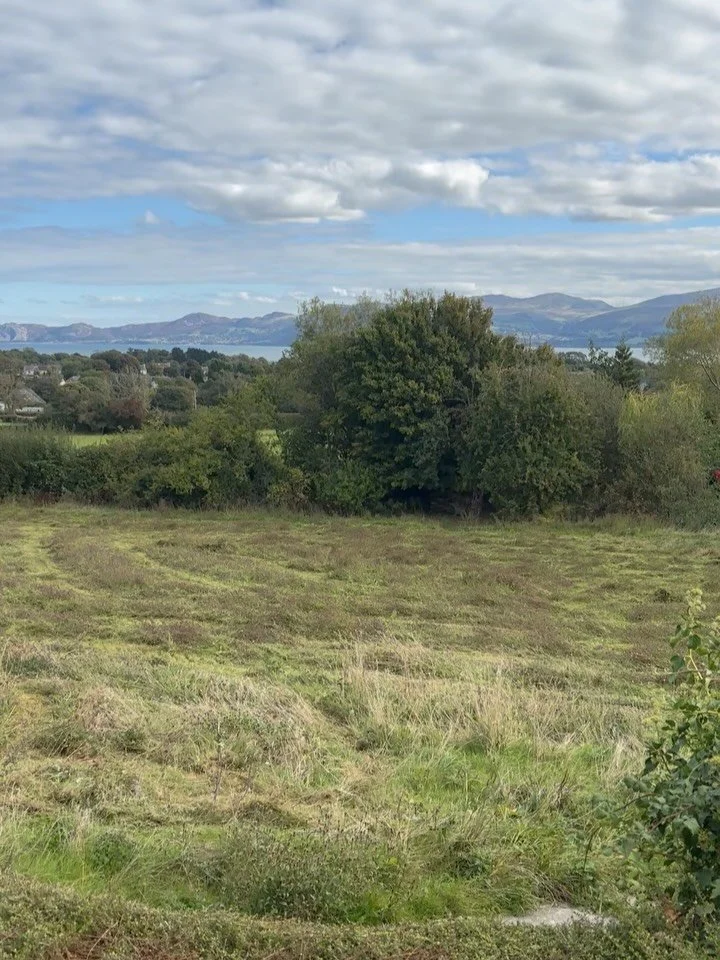 Finally a dry sunny spell for the cutting of our wildflower meadow. Over the next days it will be tedded (turned, fluffed) to speed the drying process and finally bailed. This is a vital point in the rhythms and flows of a wildflower meadow. Massive