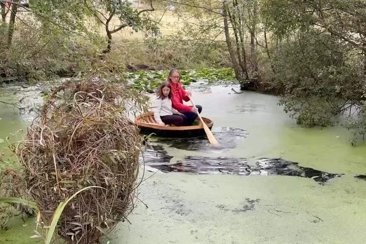 Coracle Cwlwm is back on the water at Plas Bodfa. After a safe return from its nation-wide travels, we had to wait for some water to return to our pond.  Covered in duck-weed, but full enough for a good paddle, the pond did not disappoint!  A gloriou