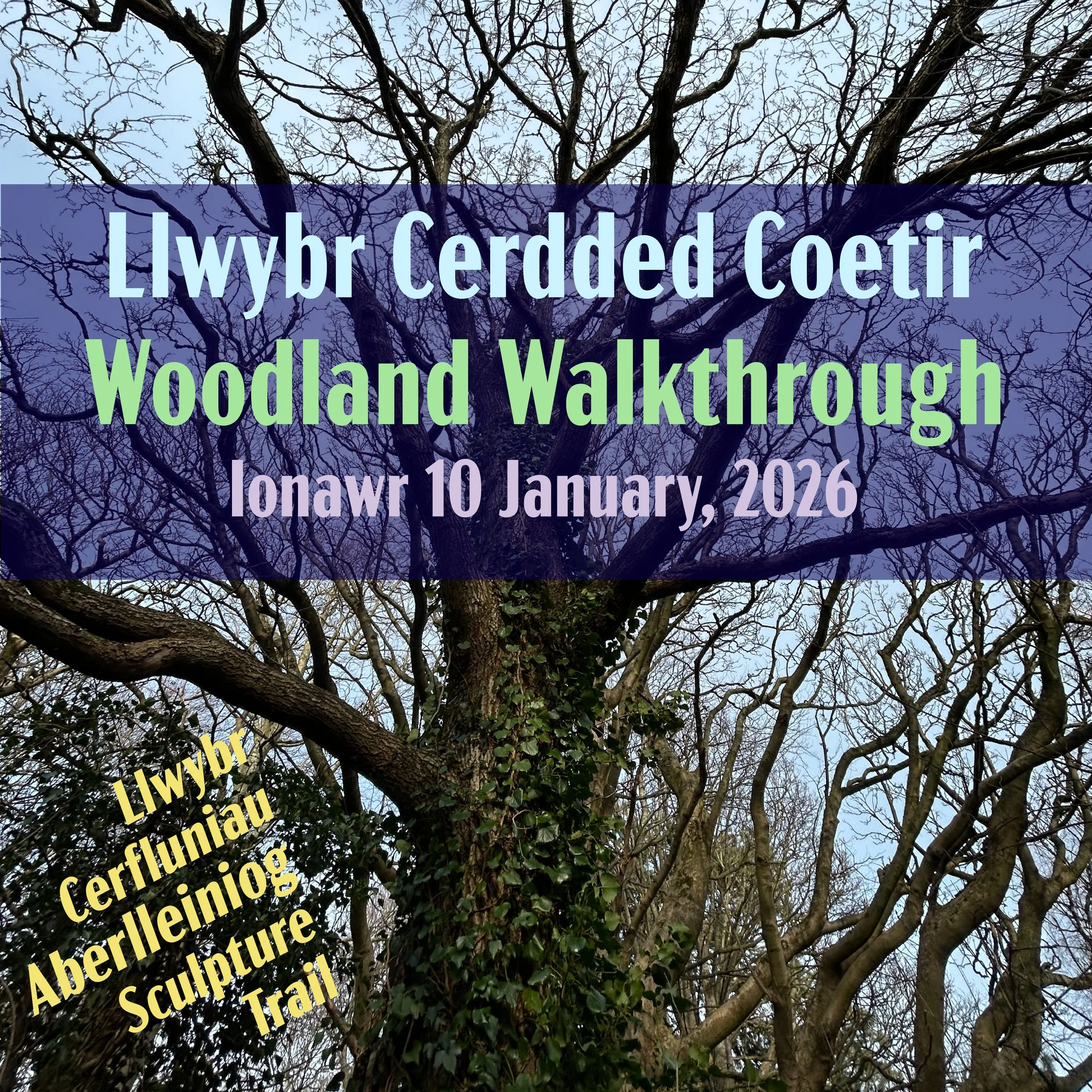 Woodland Walkthrough - Aberlleiniog Sculpture Trail