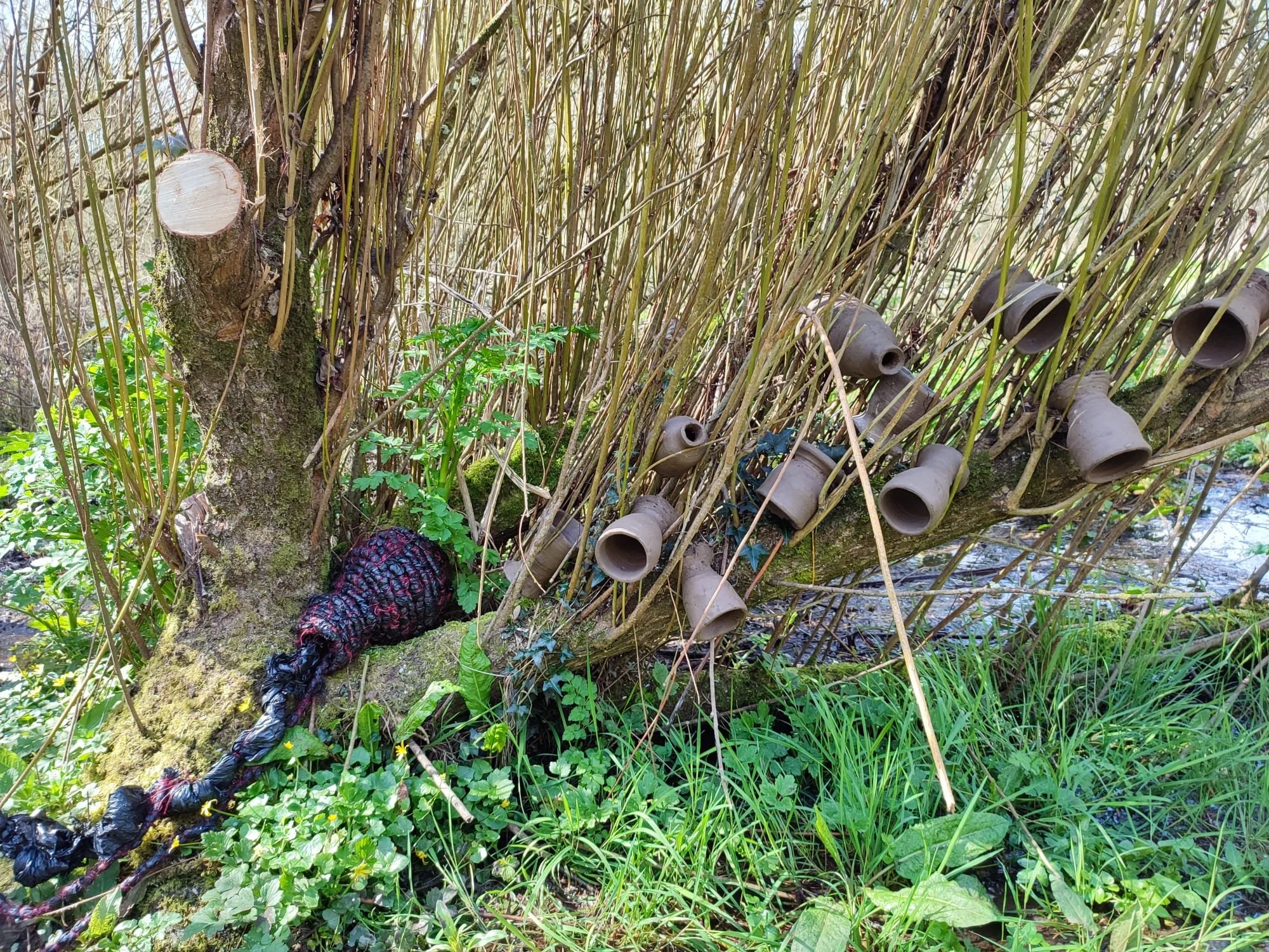 Siw Thomas &amp; Petra Goetze