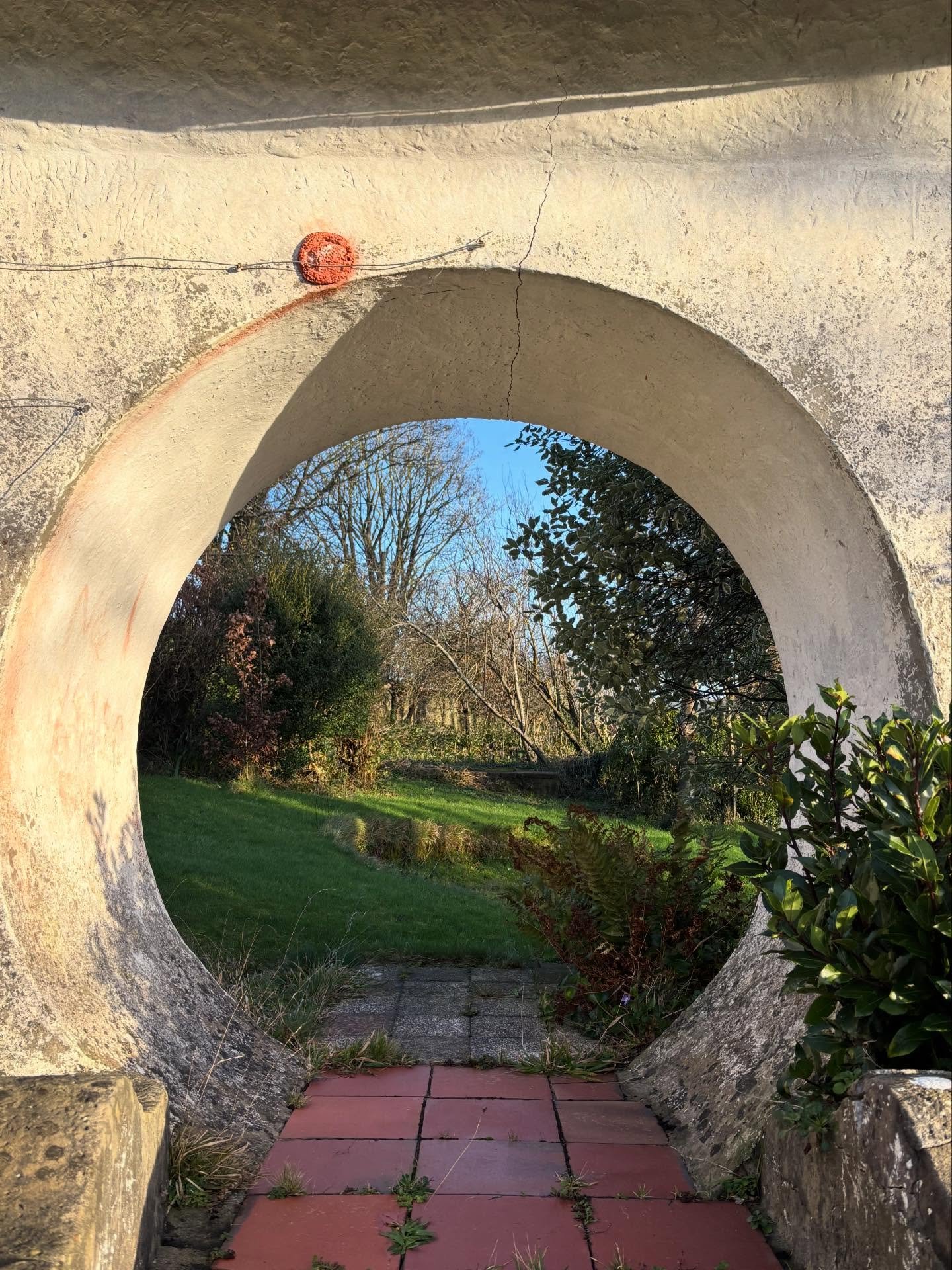 The spirit of Saint Matilda - three years on. 

This is the remains of : 
Alice McCabe&rsquo;s Tribute to St. Matilda and St. Francis
clay, seeds, petals, fishing wire 
@popsymag 
2022

A tribute to St. Matilda and St. Francis, this clay and seed med